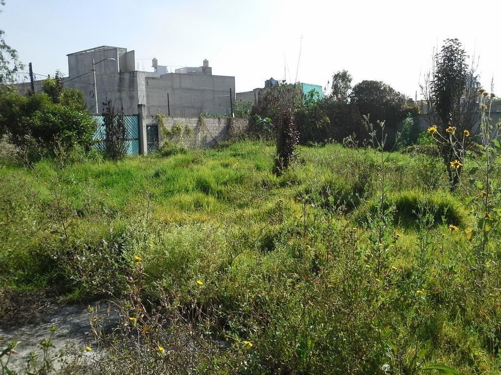 Tultitlán, Estado de México, 54910, Mexico, 1 Bedroom Bedrooms, ,Residential,For Sale,1927402