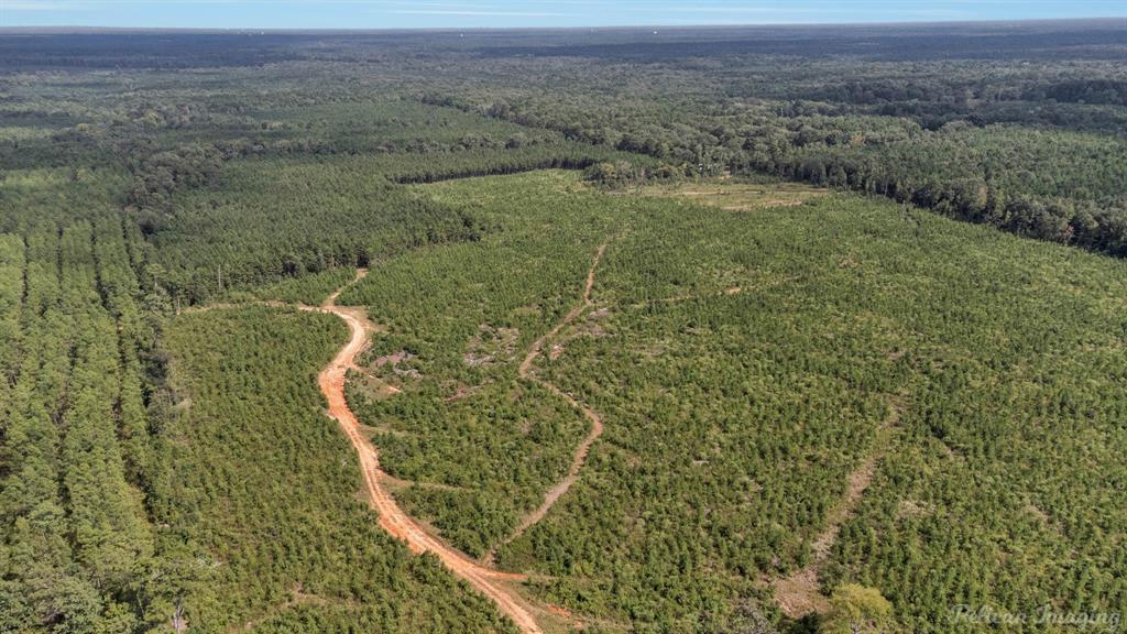 0 Highway 157 Highway, Haughton, Louisiana, 71037, United States, ,Land,For Sale,0 Highway 157 Highway,1646378