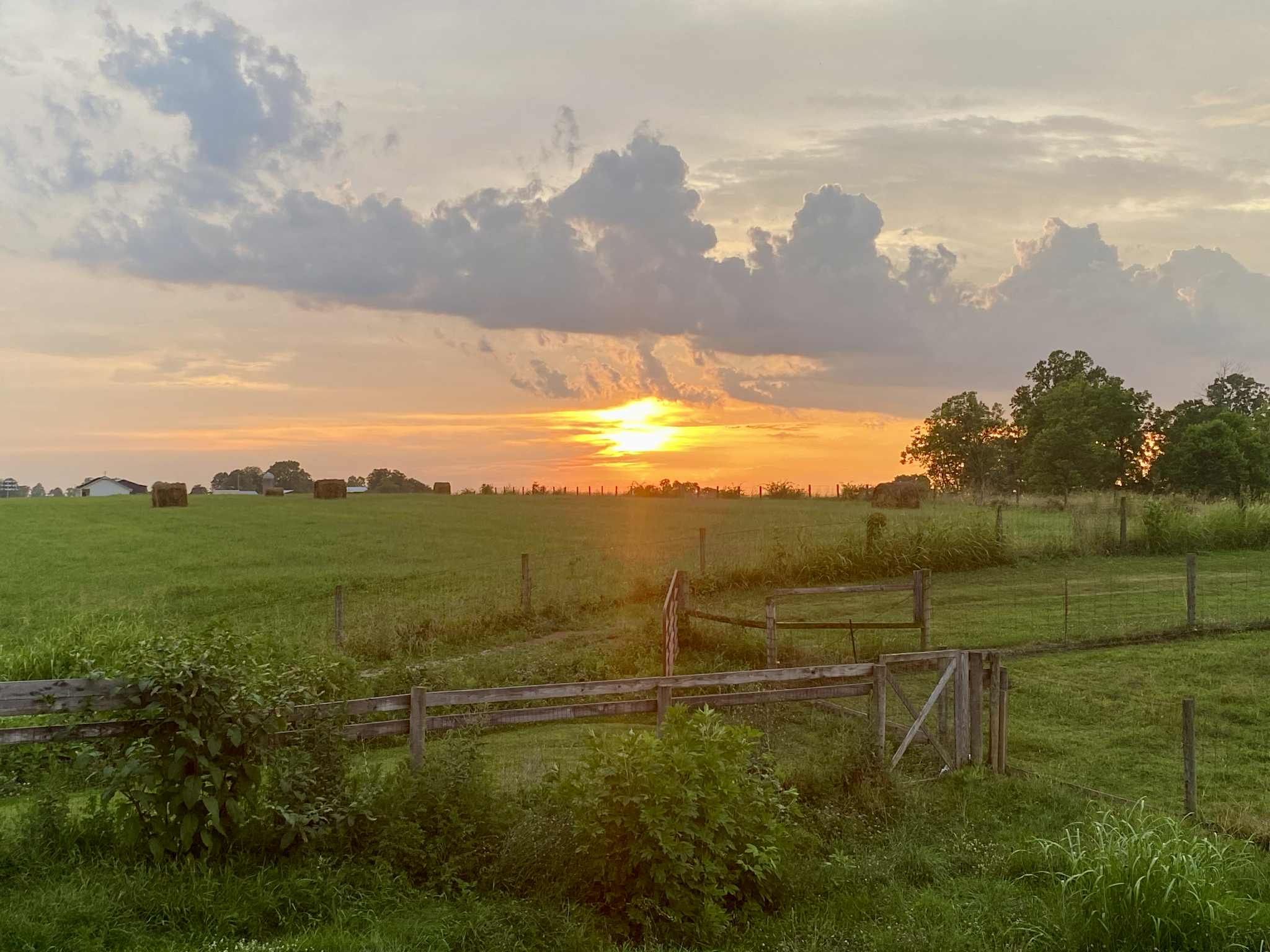 Hillsboro, Kentucky, 41049, United States, 3 Bedrooms Bedrooms, ,3 BathroomsBathrooms,Residential,For Sale,1984101