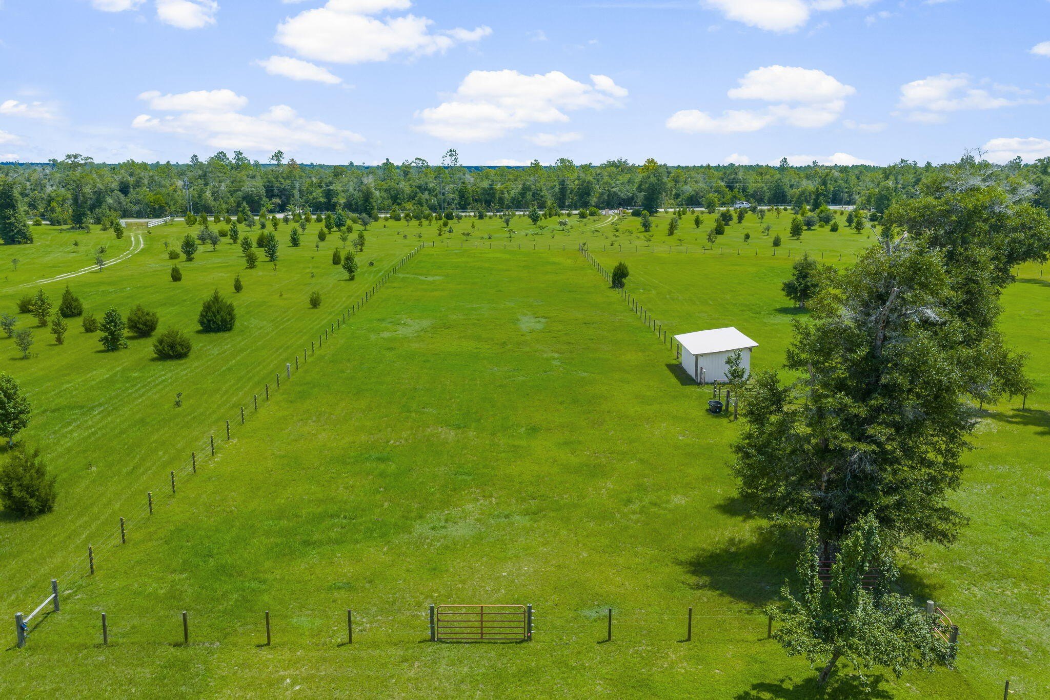 Youngstown, Florida, 32466, United States, 6 Bedrooms Bedrooms, ,6 BathroomsBathrooms,Residential,For Sale,1981831