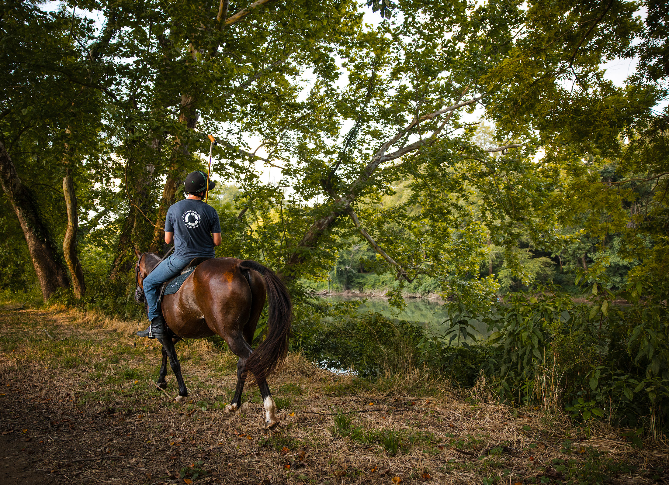  Rare Equestrian Facility with Prestigious Address - 物件實景