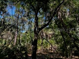 Punta Gorda, Florida, 33982, United States, ,Land,For Sale,1840783