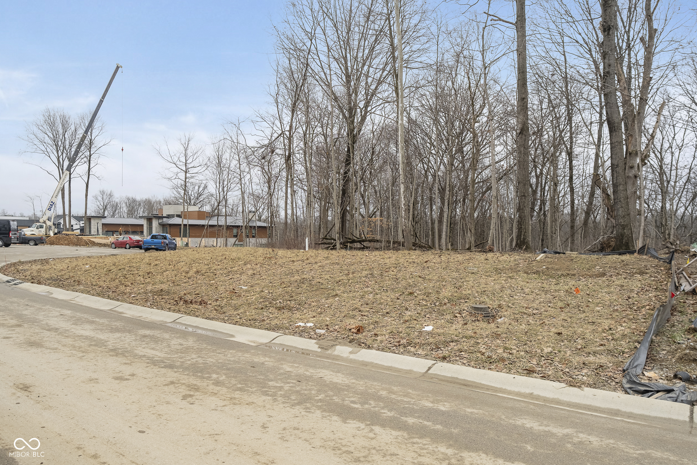 Zionsville, Indiana, 46077, United States, ,Residential,For Sale,1984208