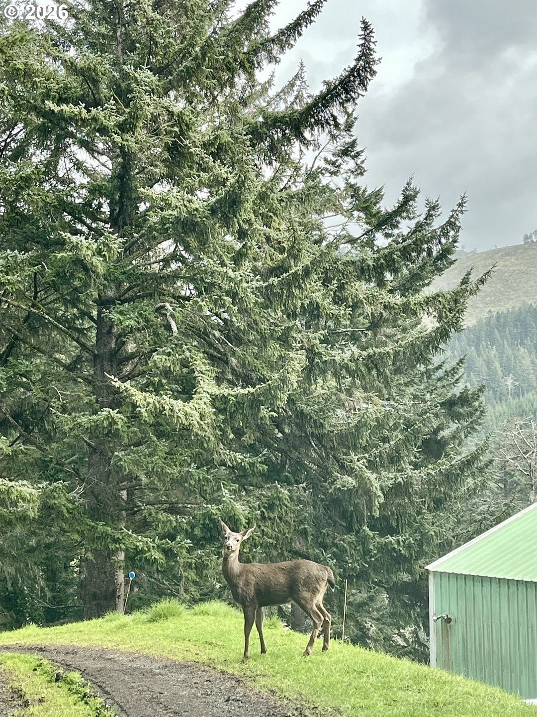 GoldBeach, Oregon, 97444, United States, 3 Bedrooms Bedrooms, ,2 BathroomsBathrooms,Residential,For Sale,2032019