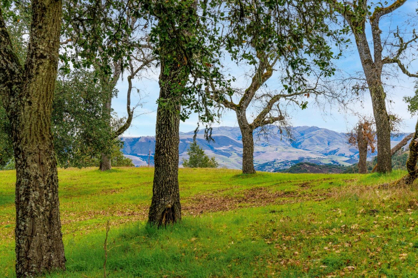 9 Long Ridge Trl, Carmel, California, 93923, United States, ,Land,For Sale,9 Long Ridge Trl,1673428