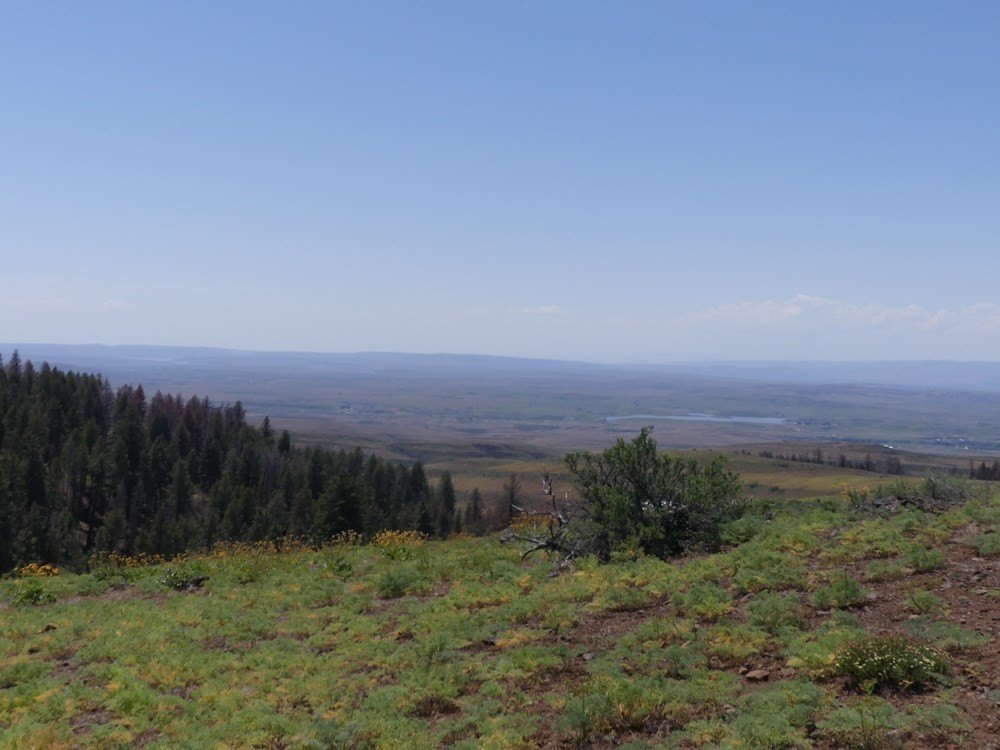 Indian Valley, Idaho, 83682, United States, ,Land,For Sale,1976667