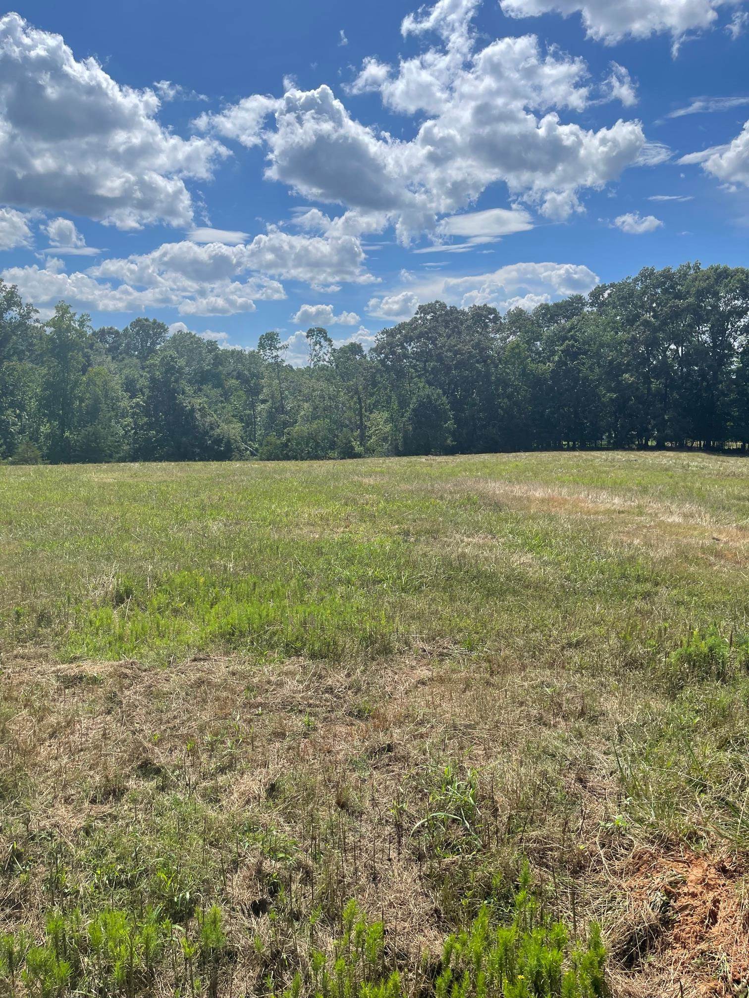 Cowpens, South Carolina, 29330, United States, 1 Bedroom Bedrooms, ,1 BathroomBathrooms,Residential,For Sale,1980416