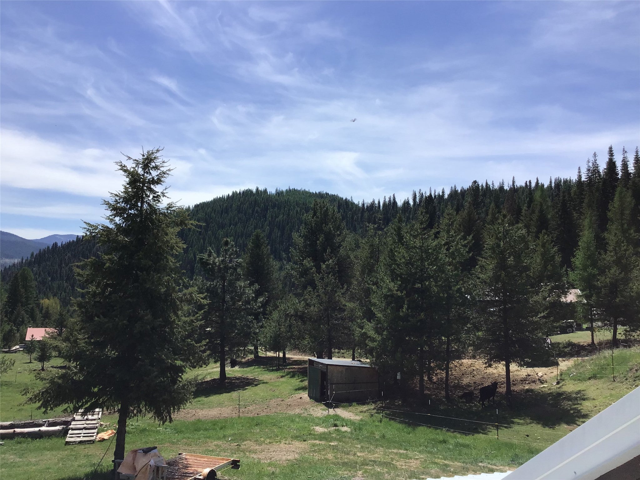 De Borgia, Montana, 59830, United States, 2 Bedrooms Bedrooms, ,1 BathroomBathrooms,Residential,For Sale,1806179