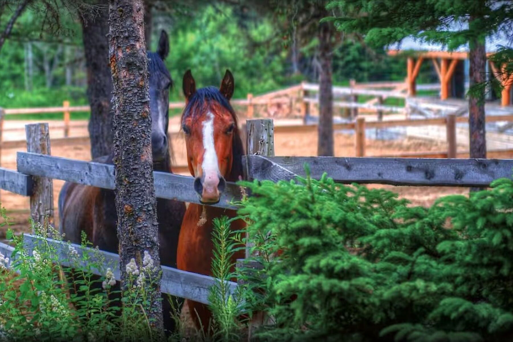  Chalet de villégiature - 物件實景