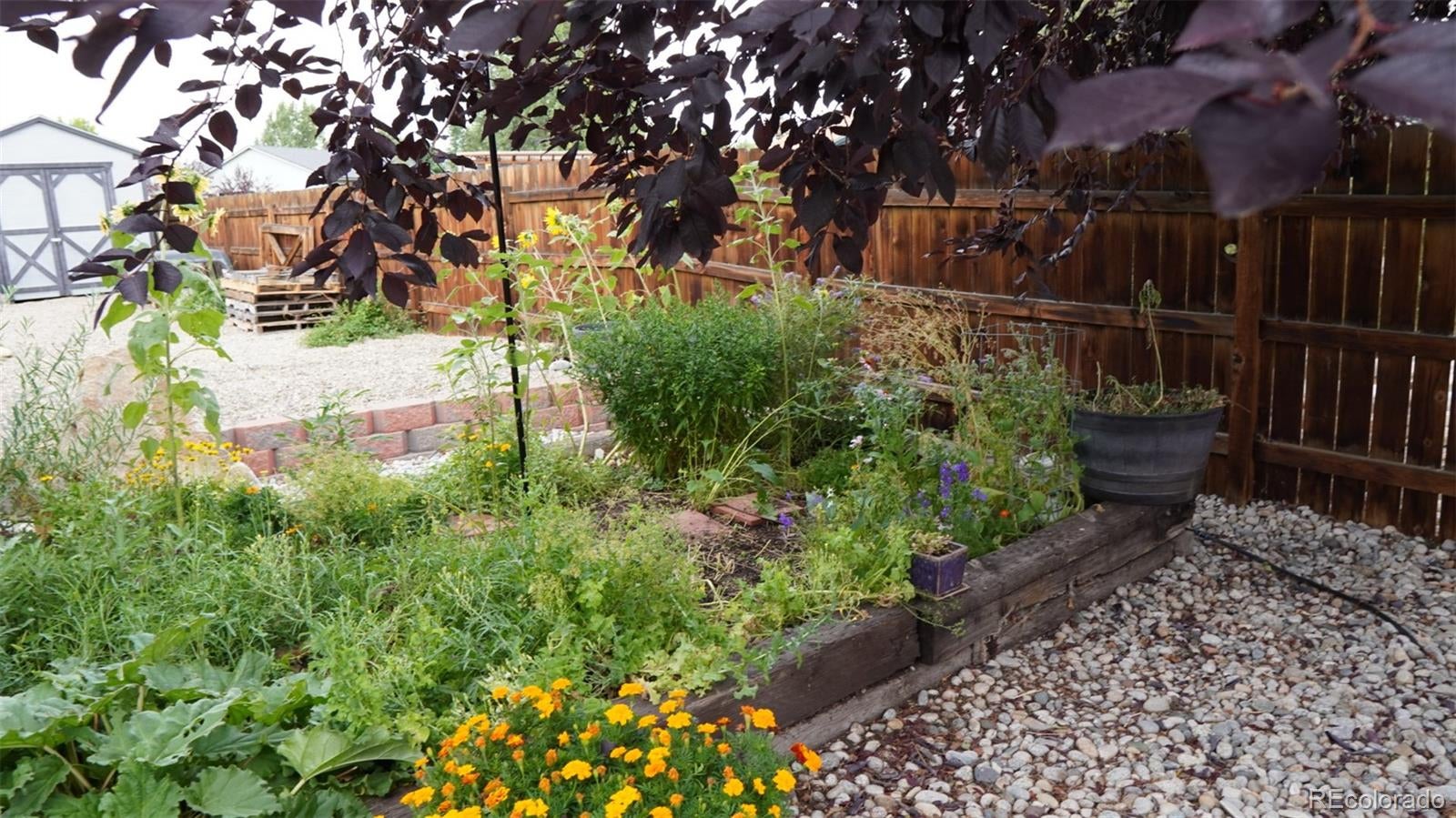Poncha Springs, Colorado, 81242, United States, 3 Bedrooms Bedrooms, ,Residential,For Sale,2025748