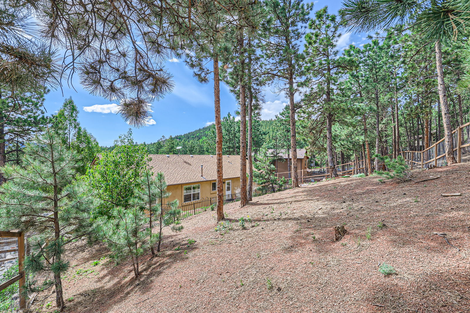 Woodland Park, Colorado, 80863, United States, 3 Bedrooms Bedrooms, ,4 BathroomsBathrooms,Residential,For Sale,1856794