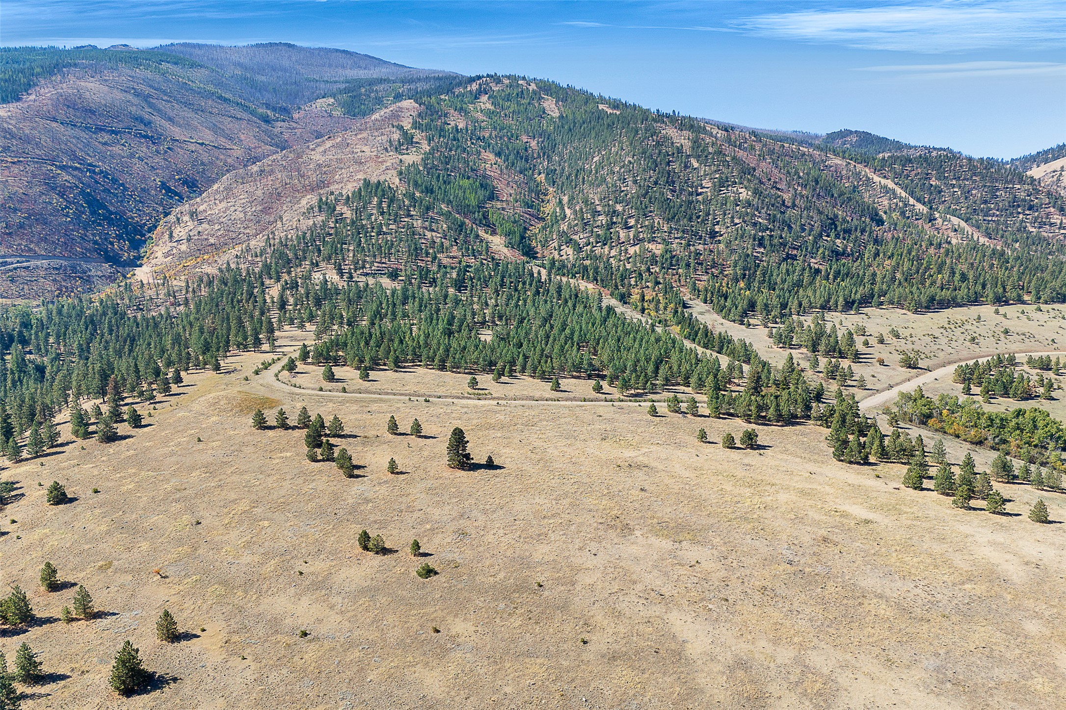  000 Elk Mountain Reserve, Florence, MT, 59833 - 物件實景