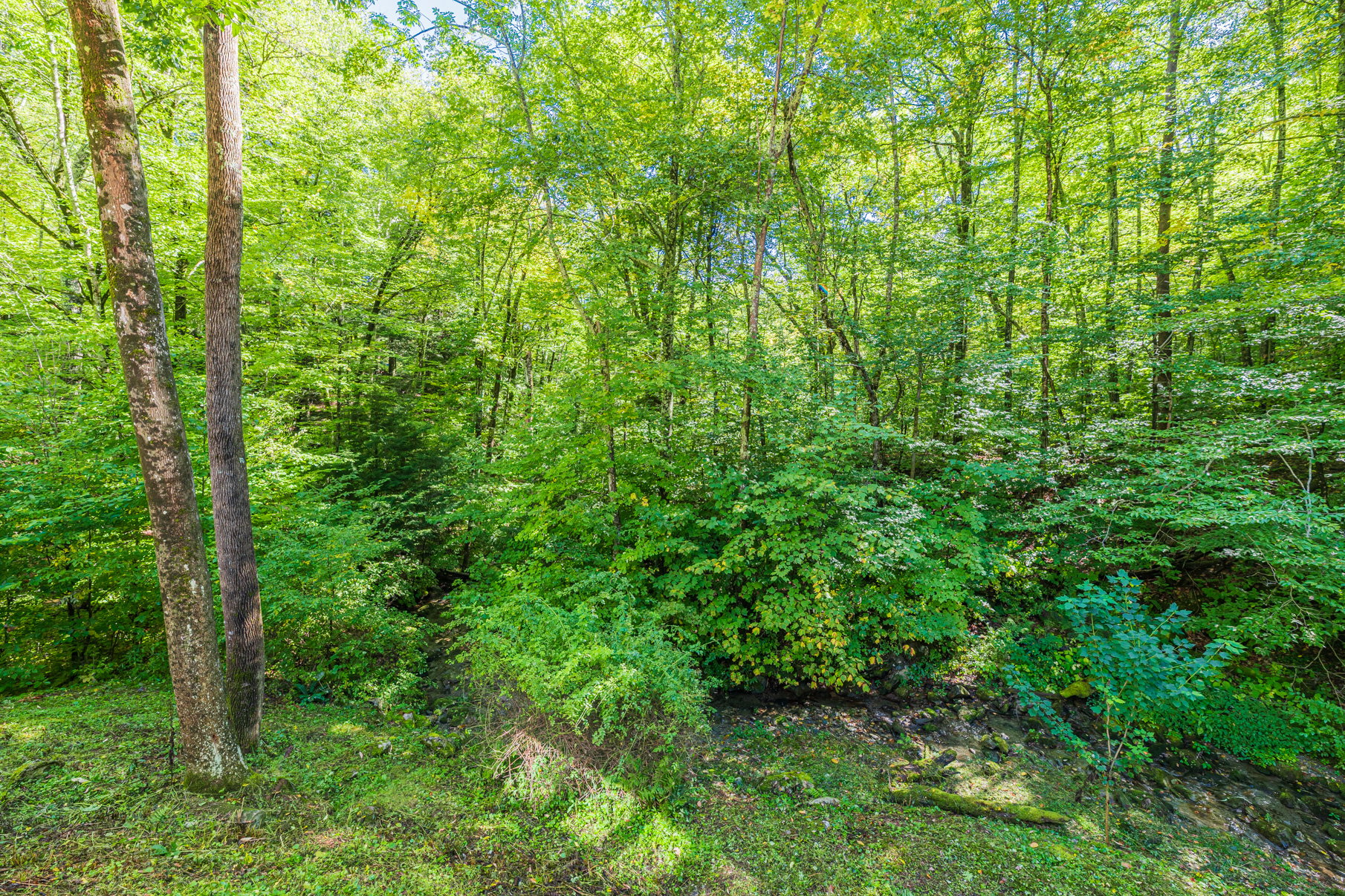  505 Benedict Hollow Road - 物件實景