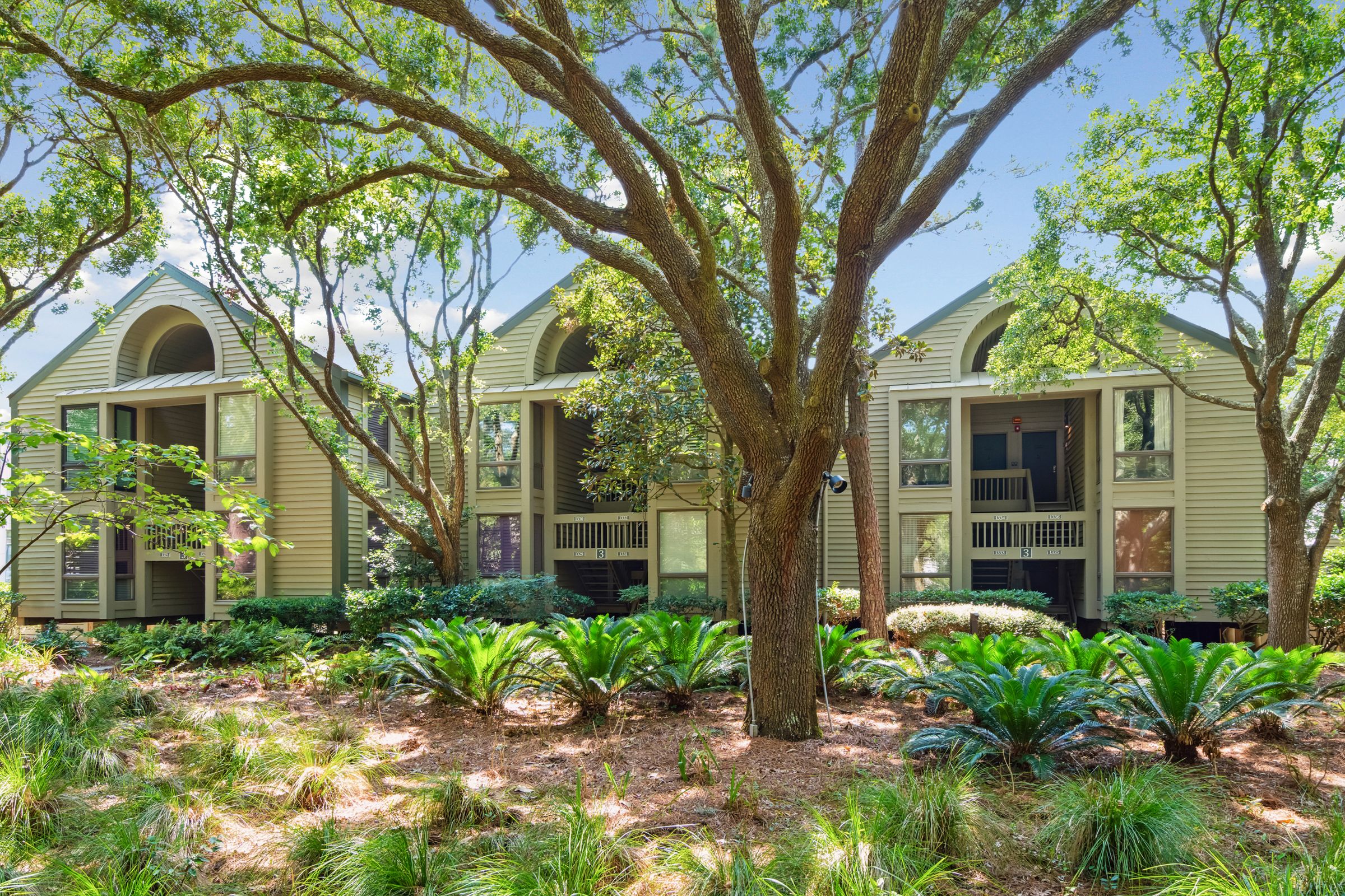  Beachfront Villa on Seabrook Island - 物件實景