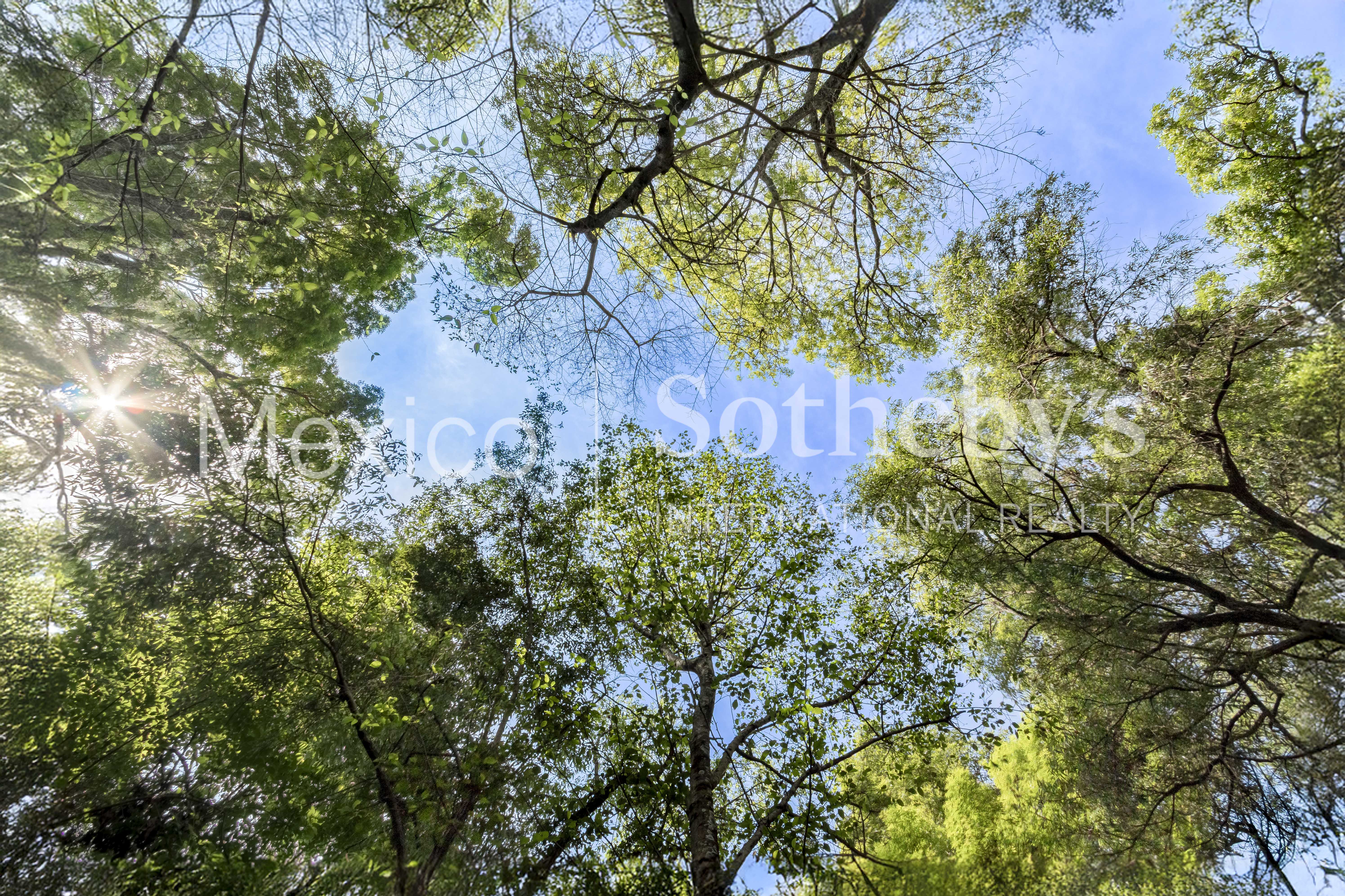  Preventa proyecto Artigas, Valle de Bravo - 物件實景