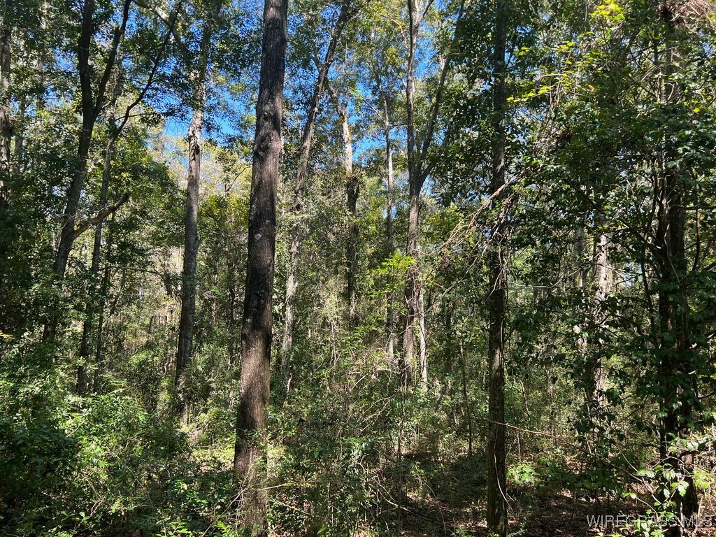 Enterprise, Alabama, 36330, United States, ,Land,For Sale,1979580