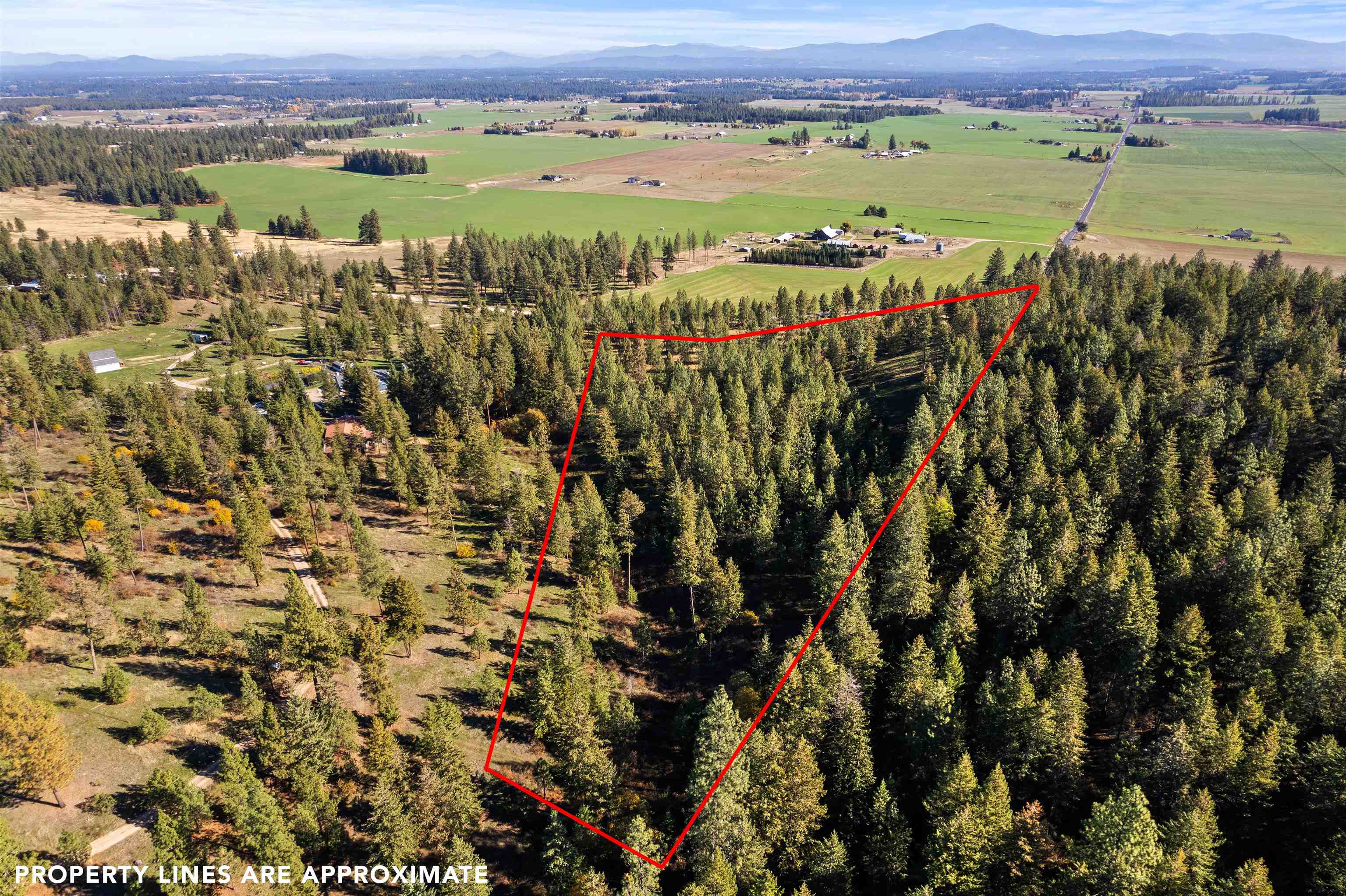 Deer Park, Washington, 99006, United States, 4 Bedrooms Bedrooms, ,3 BathroomsBathrooms,Residential,For Sale,1992007