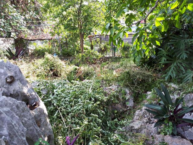 Kingston & St. Andrew, JM, 4 Bedrooms Bedrooms, ,5 BathroomsBathrooms,Residential,For Sale,1615791