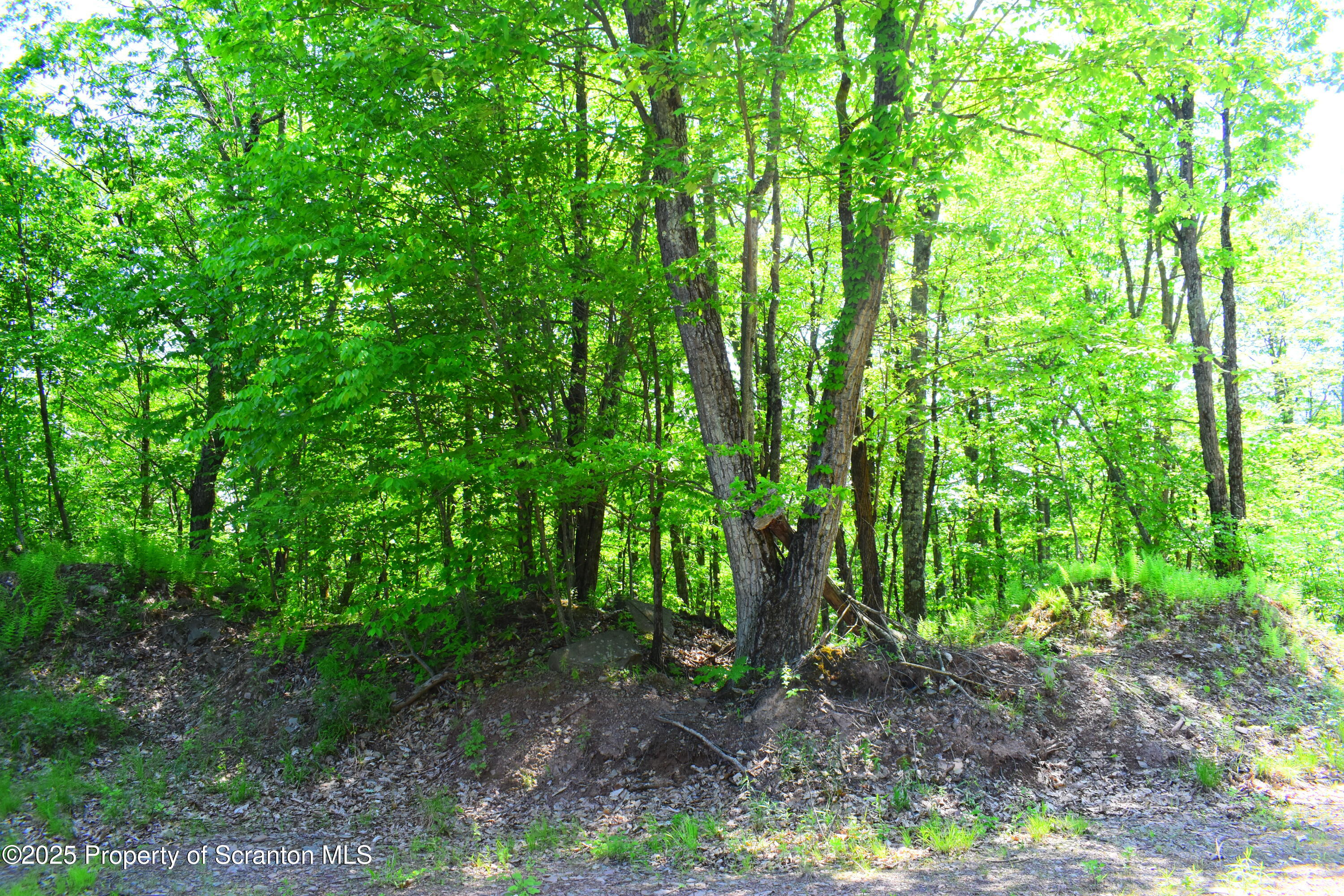 State Route 92, Susquehanna, Pennsylvania, 18847, United States, ,Land,For Sale,State Route 92,1665959
