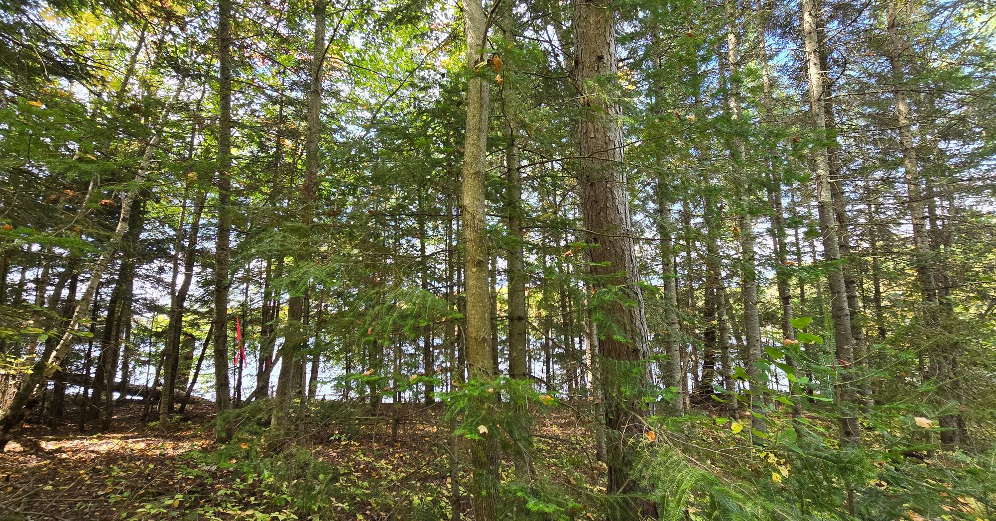 Presque Isle, Wisconsin, 54557, United States, ,Land,For Sale,1984076