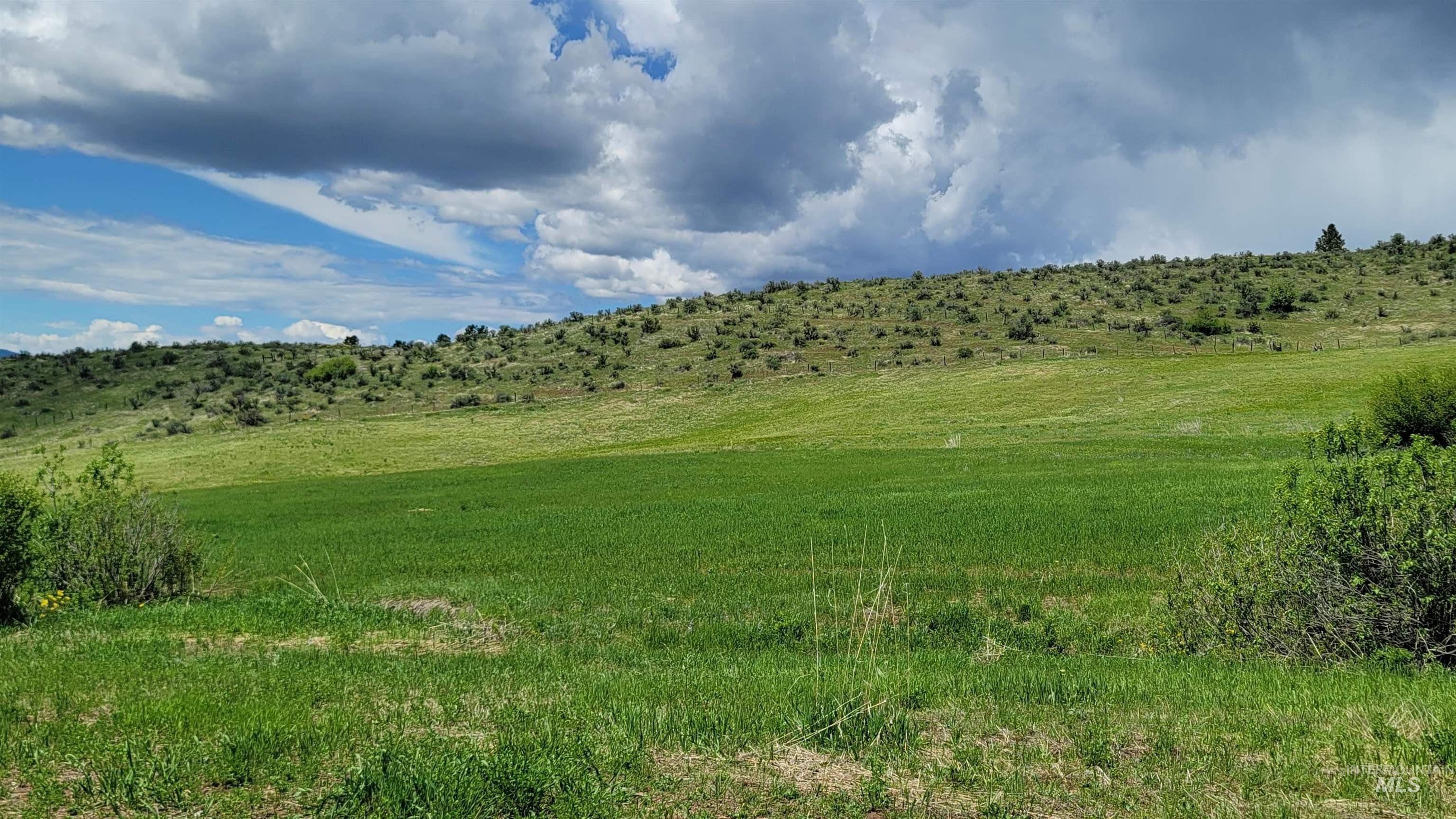 Council, Idaho, 83612, United States, 3 Bedrooms Bedrooms, ,2 BathroomsBathrooms,Residential,For Sale,1983161