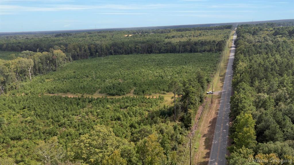 0 Highway 157 Highway, Haughton, Louisiana, 71037, United States, ,Land,For Sale,0 Highway 157 Highway,1646378