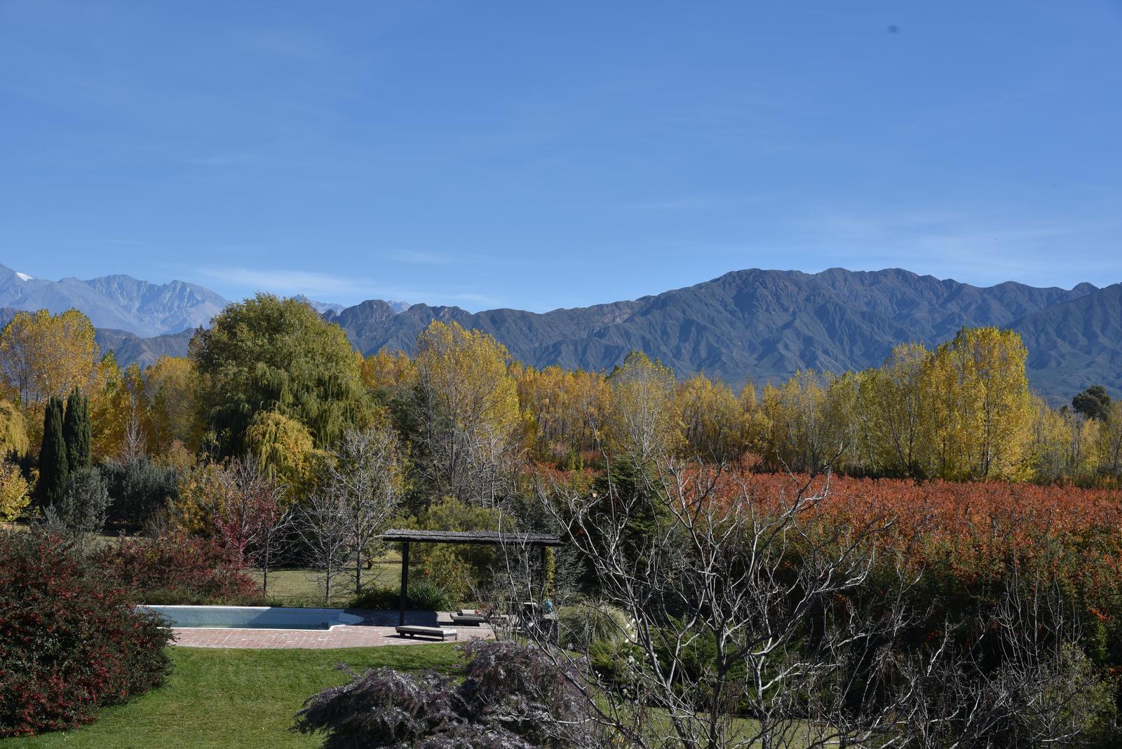 Lujan De Cuyo, AR-M, AR, 5 Bedrooms Bedrooms, ,8 BathroomsBathrooms,Residential,For Sale,1999071