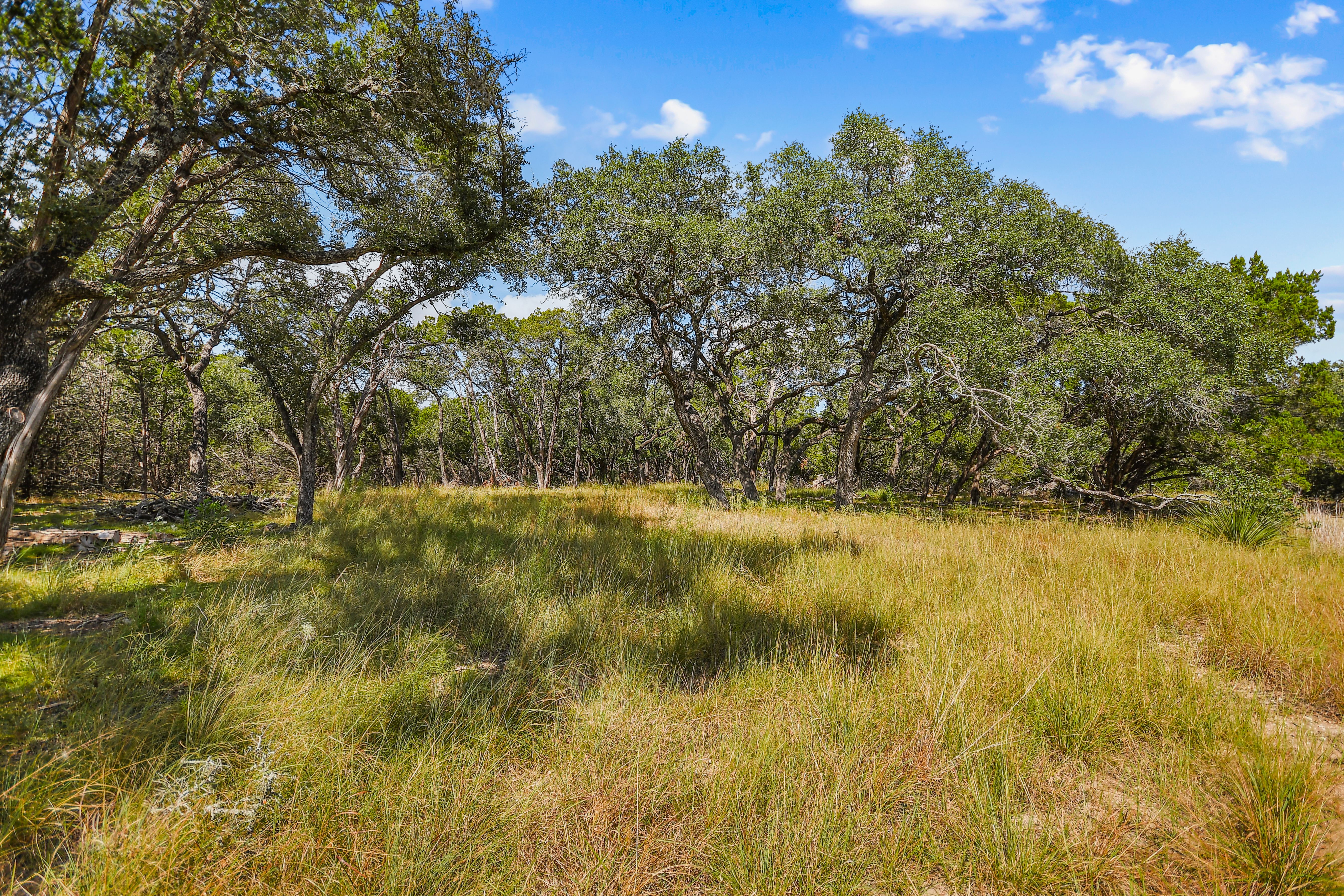  TBD Hwy 46 / Madrona Ranch Road, Pipe Creek, TX 78063 - 物件實景