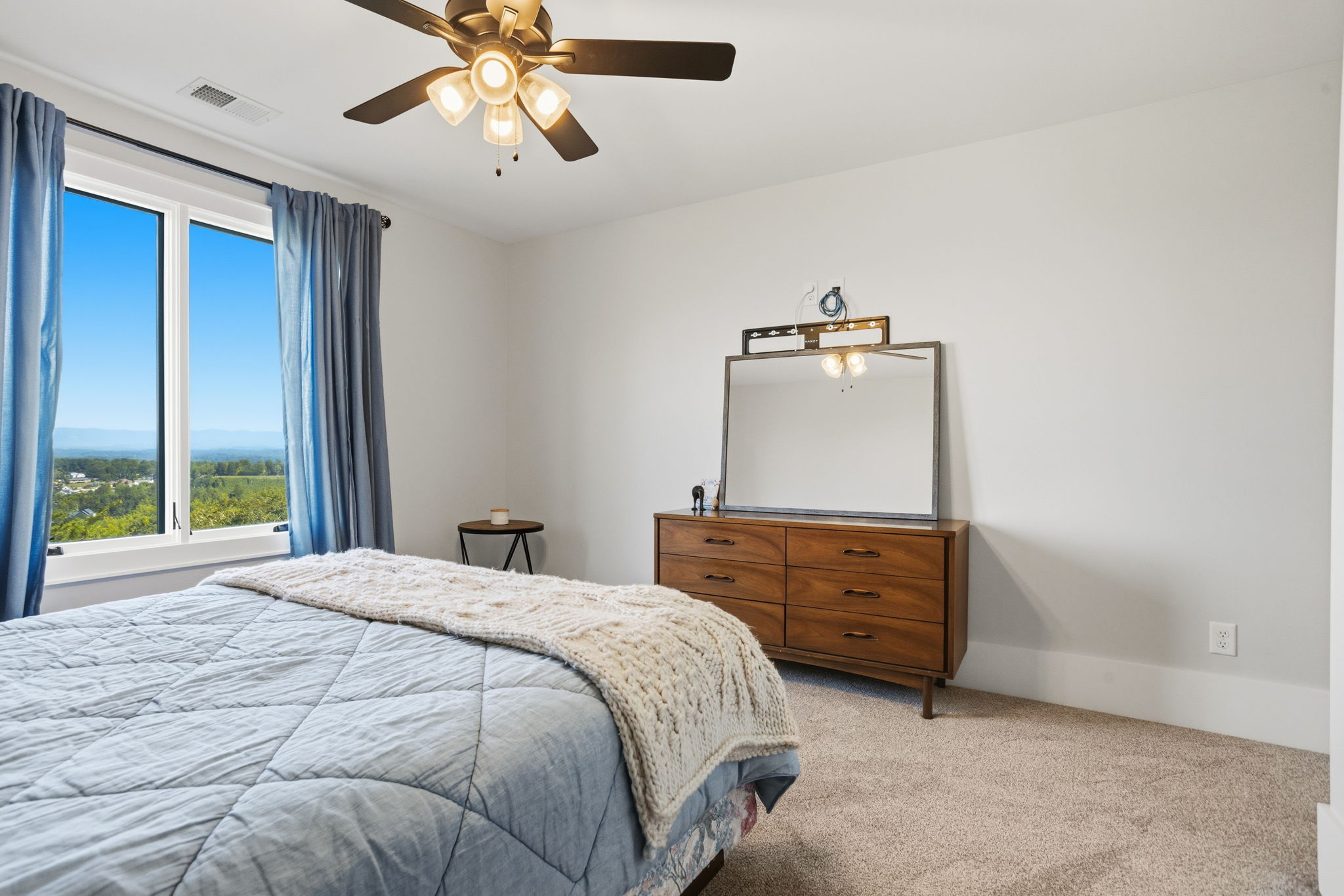  101 Frangipani Way, Greenville, SC 29609 - 物件實景
