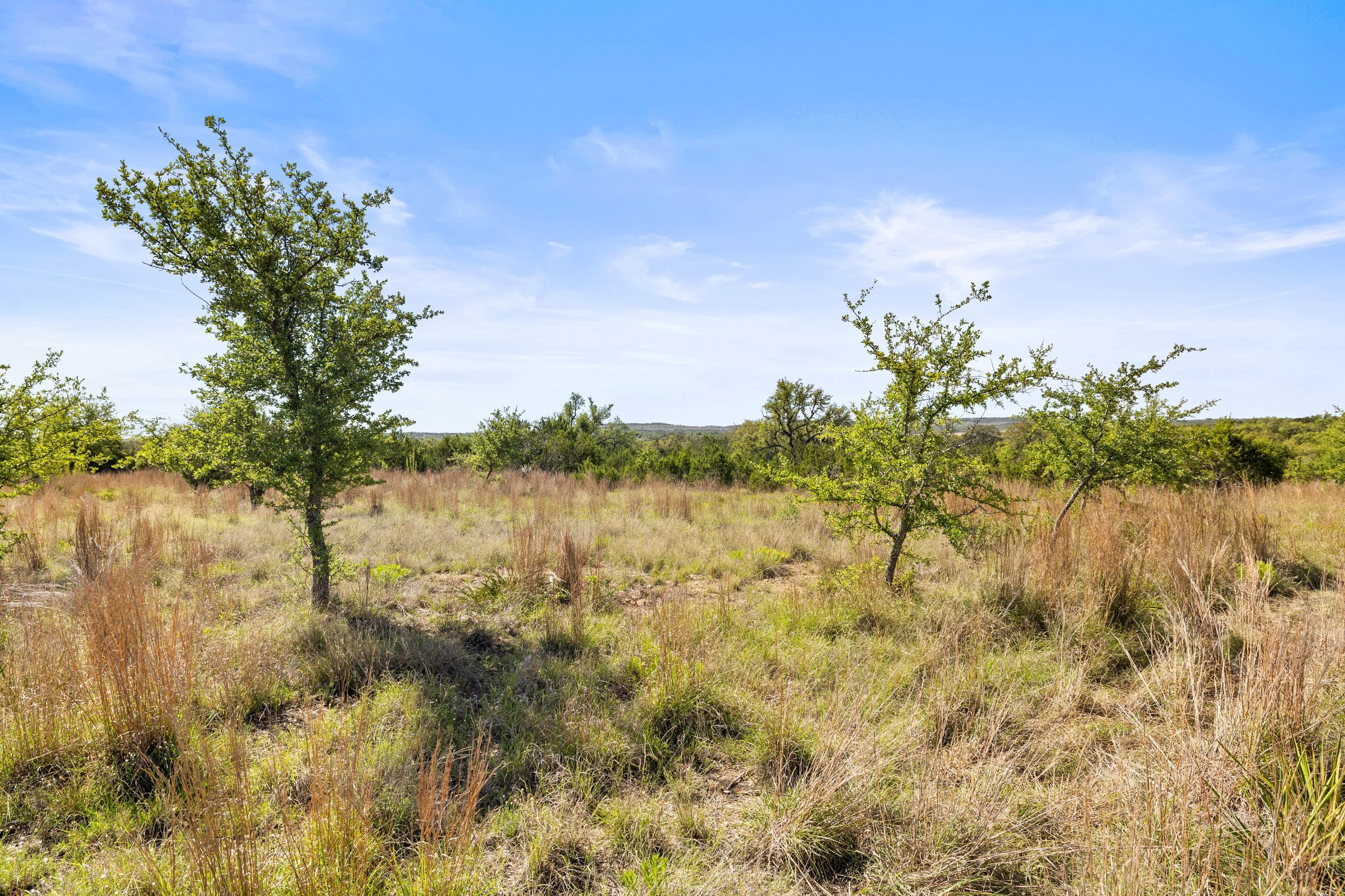  83 S Flat Rock Way - 5 Acre Lot in Gated Legacy Hills - 物件實景