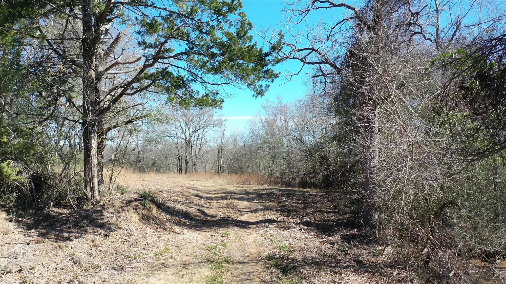 1151 Fowler Road, Bremond, Texas, 76629, United States, ,Land,For Sale,1151 Fowler Road,1621605