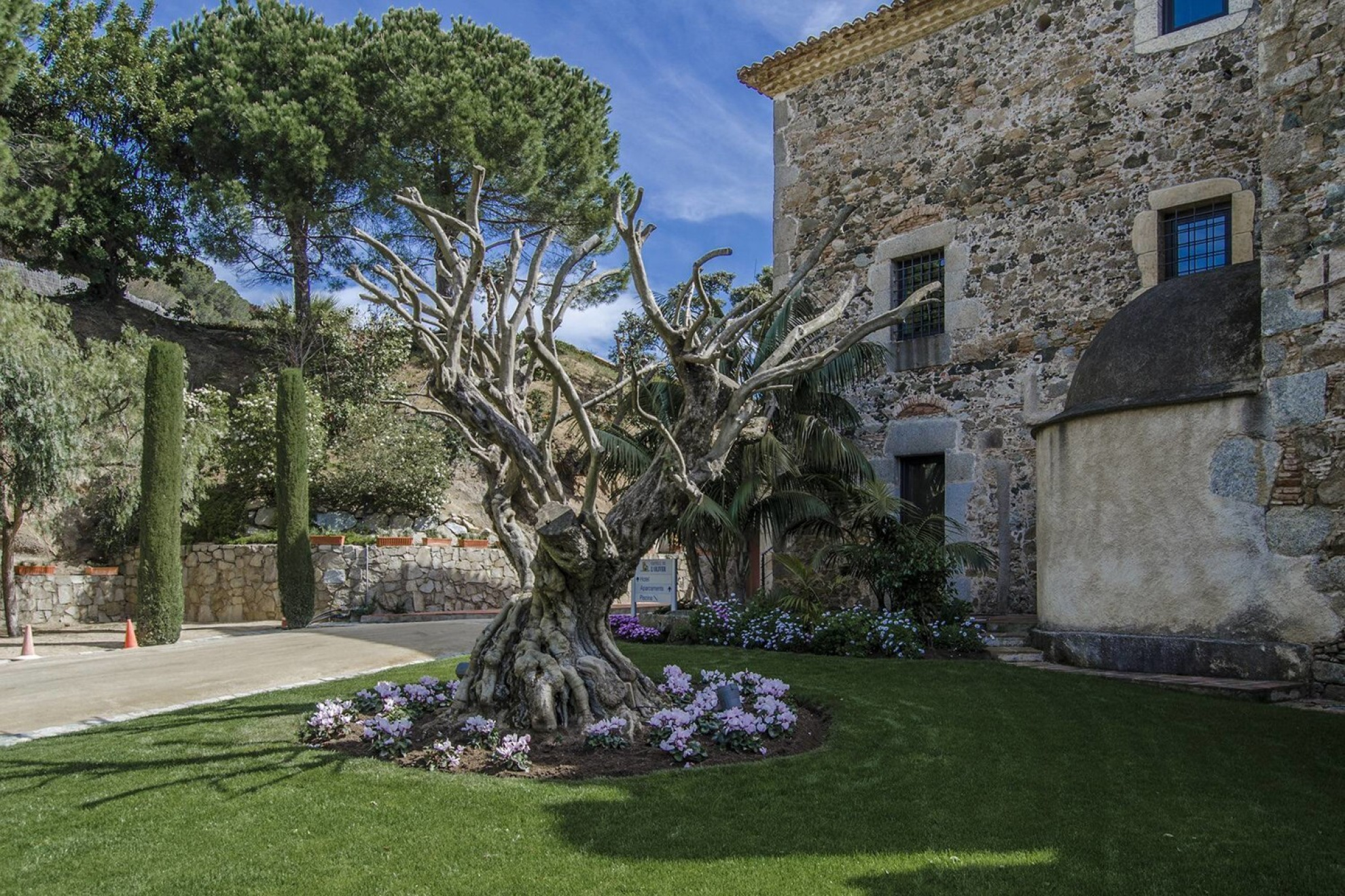 Historic and emblematic castle in Sant Vicenç de Montalt - Costa Barcelona - 物件實景