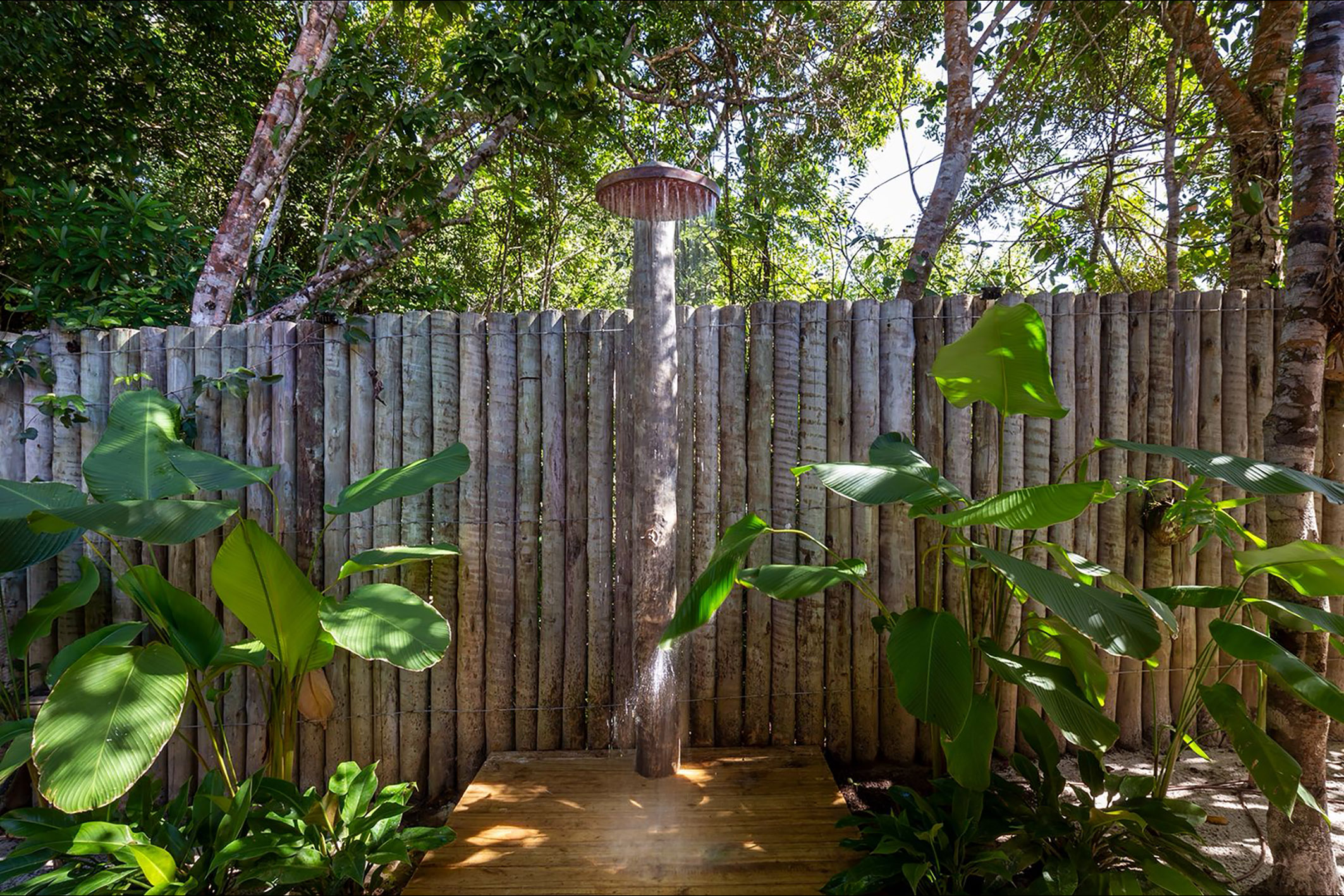  Refined residence with sophisticated interiors and native forest views - 物件實景
