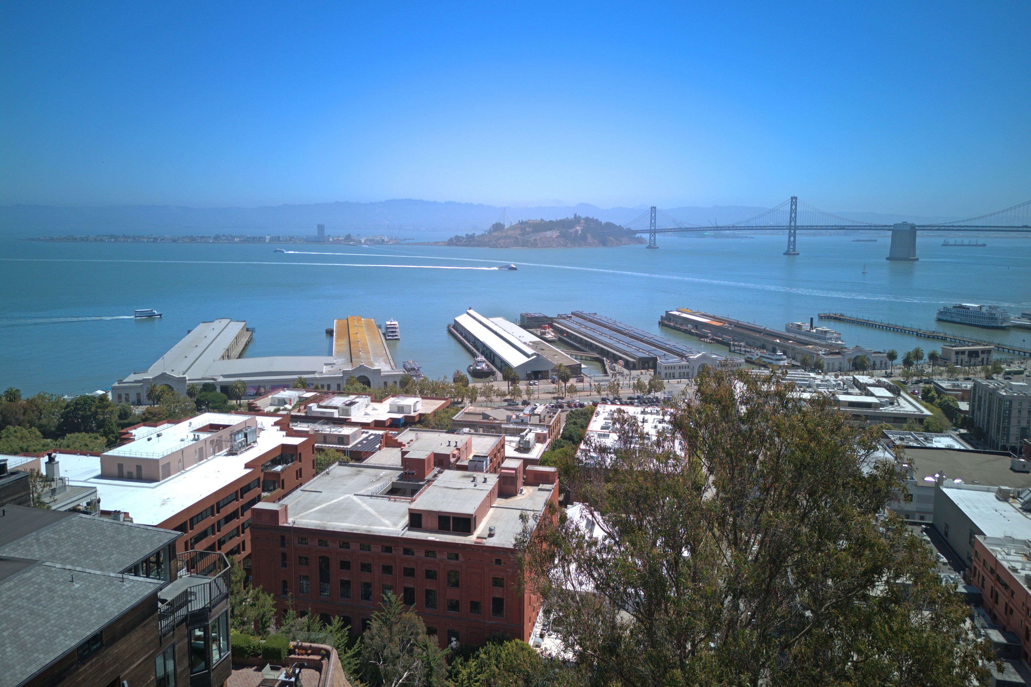  Telegraph Hill Trophy - 物件實景