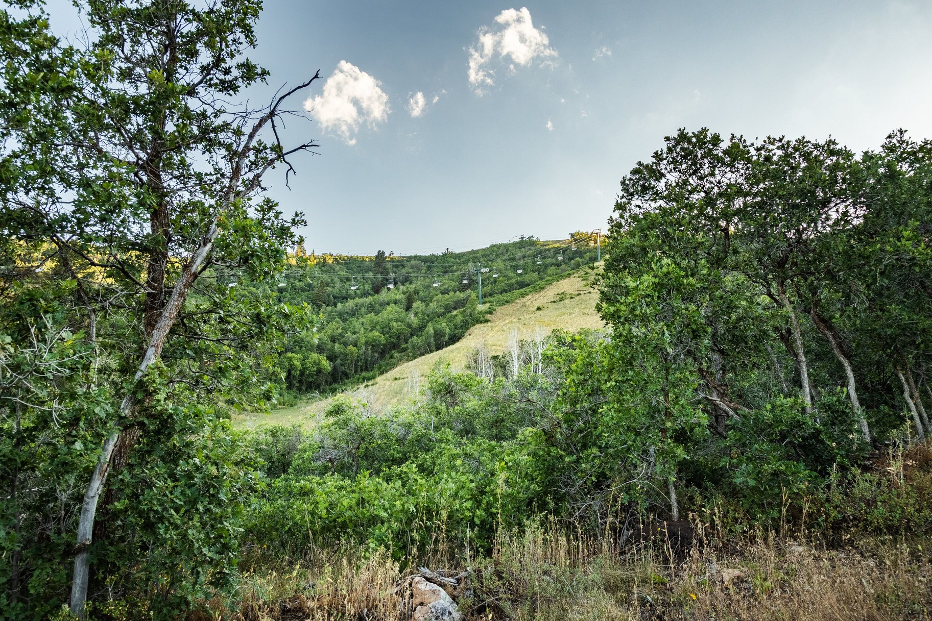  Estate Lot with Prime Ski-in, Ski-out Access - 物件實景