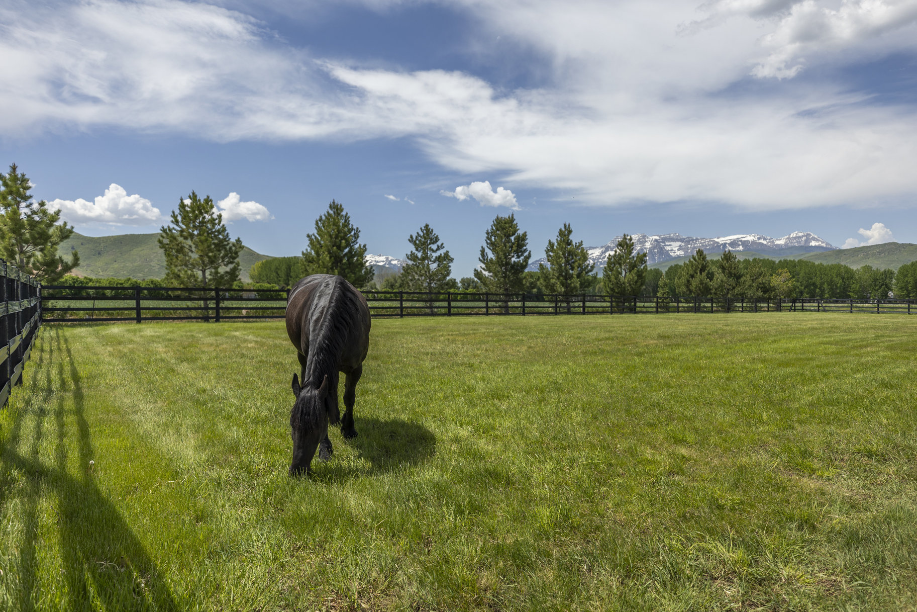  World-Class Equestrian Estate with Unmatched Luxury and Views in Heber Valley - 物件實景