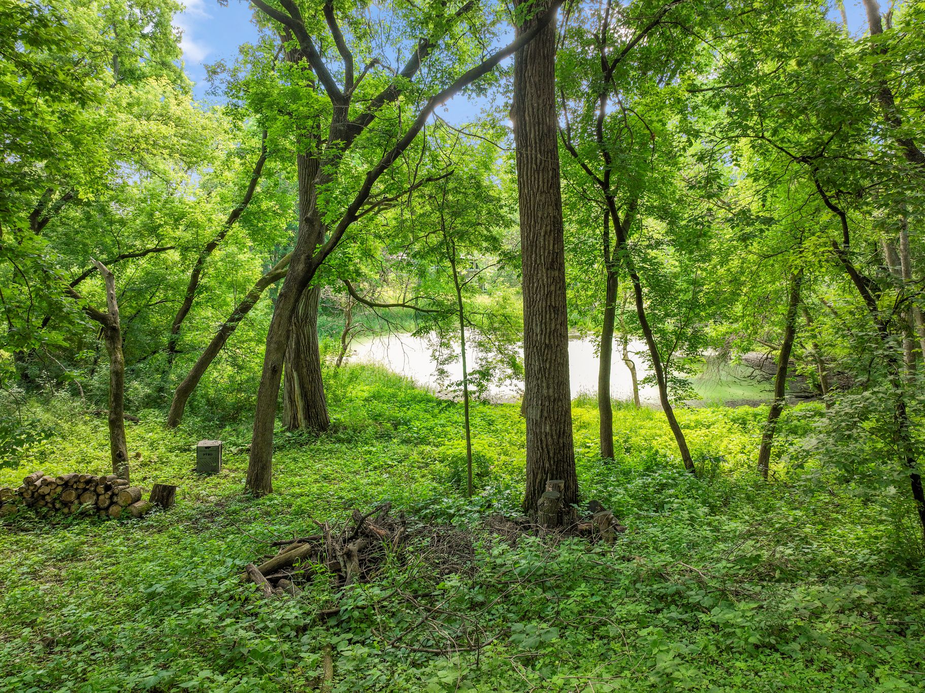  Luxury Contemporary Home in Serene Minnetonka Setting - 物件實景