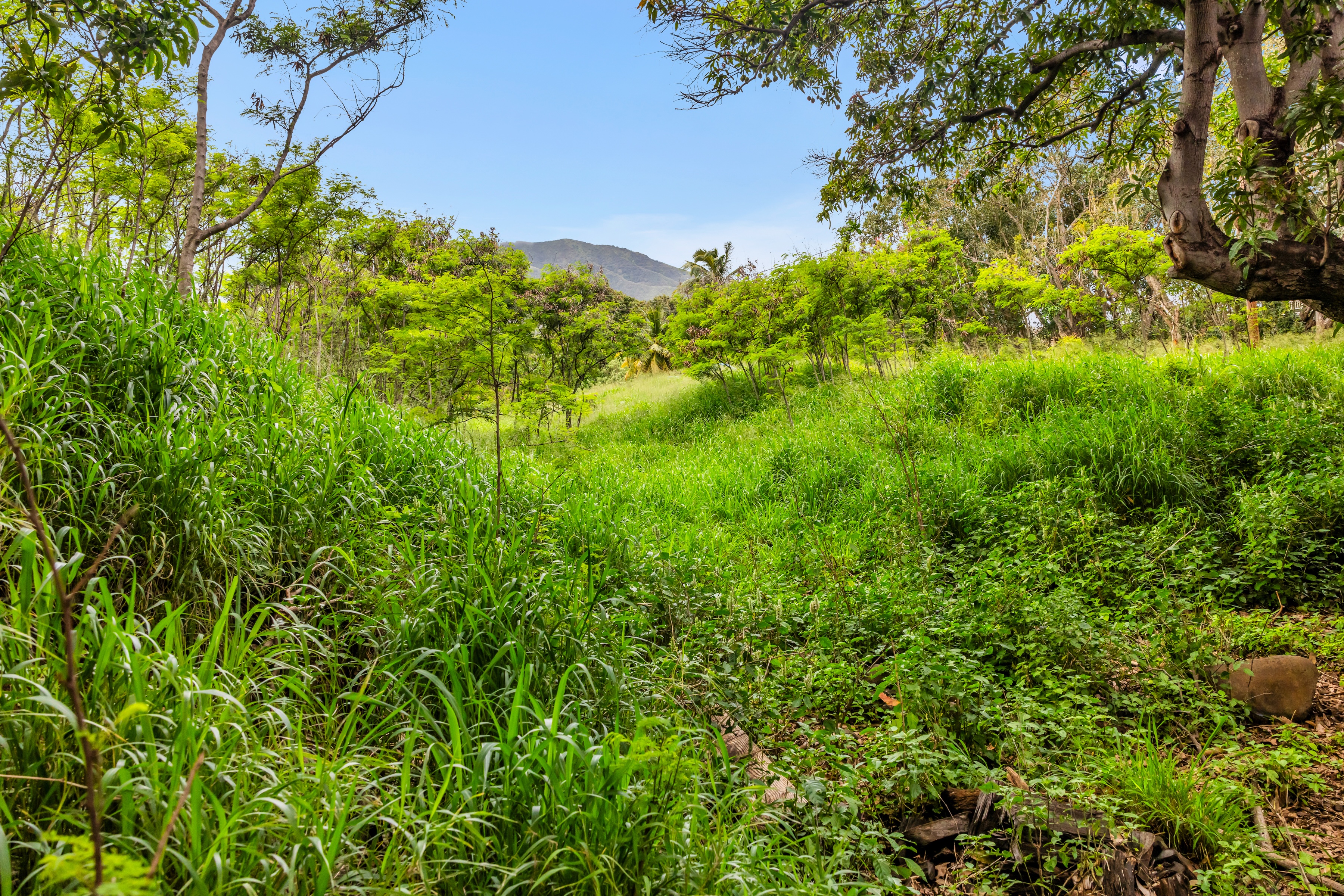  Timeless Plantation Home with Modern Upgrades - 物件實景