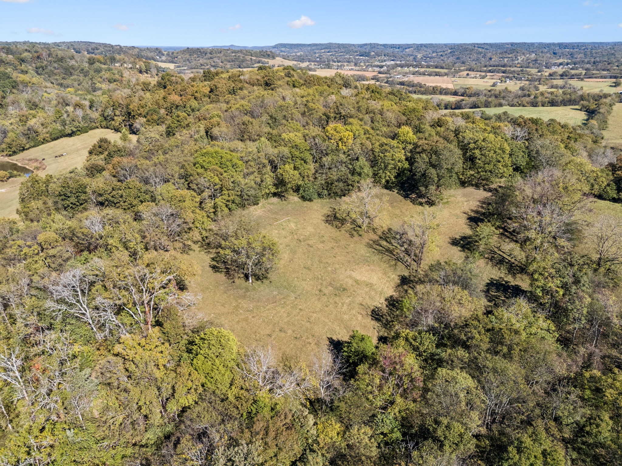  2846 Fuller Hollow Rd, Cornersville, TN, 37047 - 物件實景
