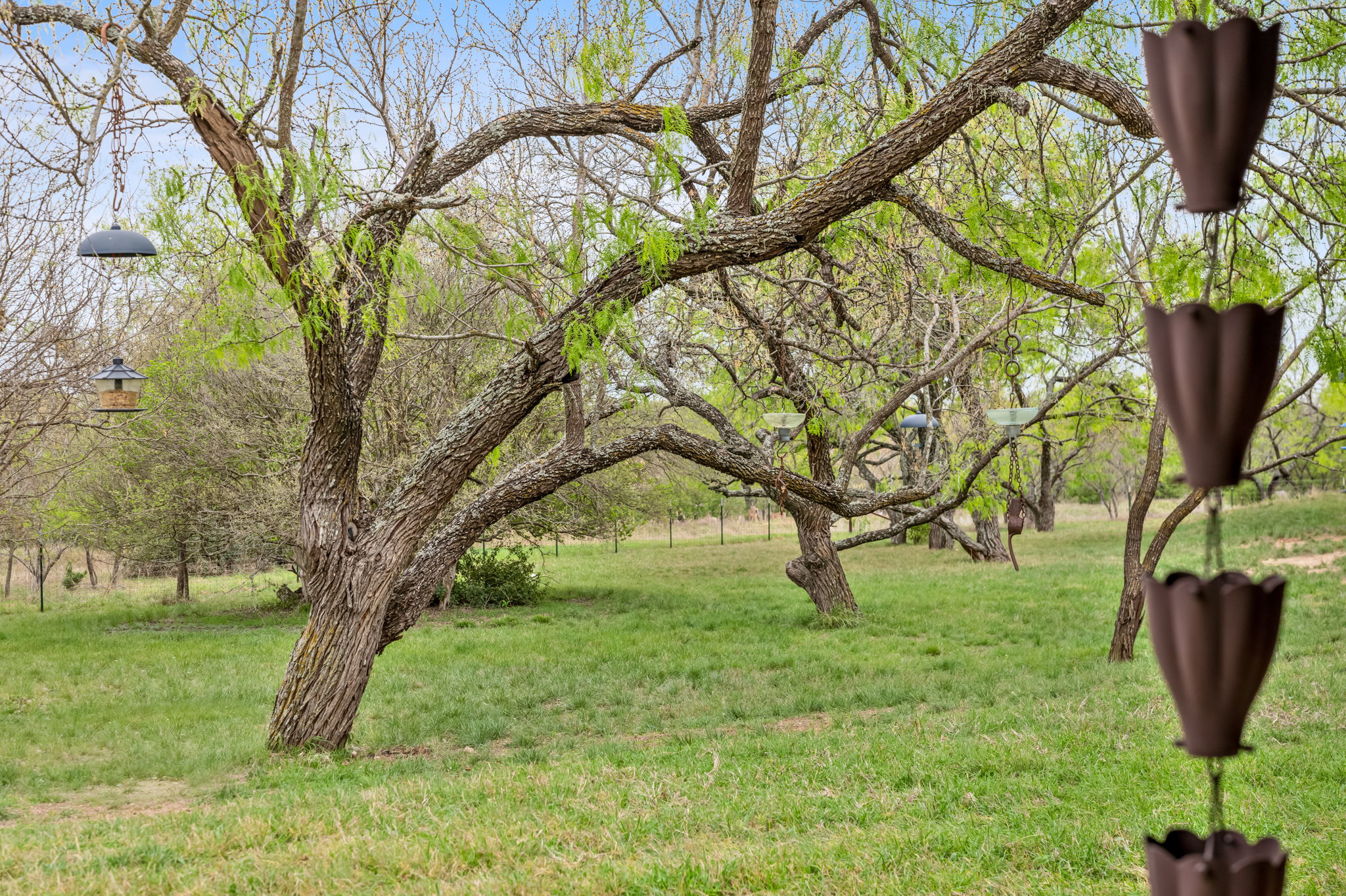  Perfect Blend of Comfort, Functionality and Hill Country Charm - 物件實景