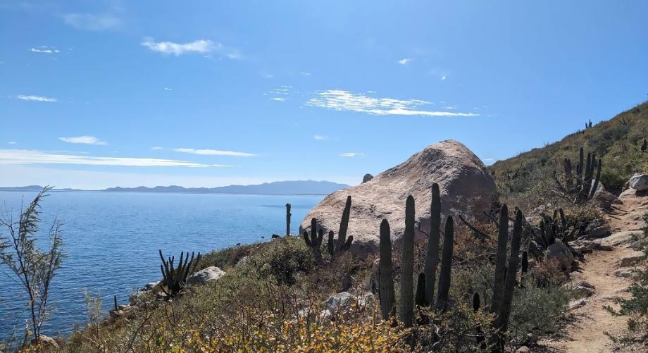 Sin calle, El Jalito, Baja California Sur, 23232, Mexico, 1 Bedroom Bedrooms, ,Residential,For Sale,Sin calle,1652731