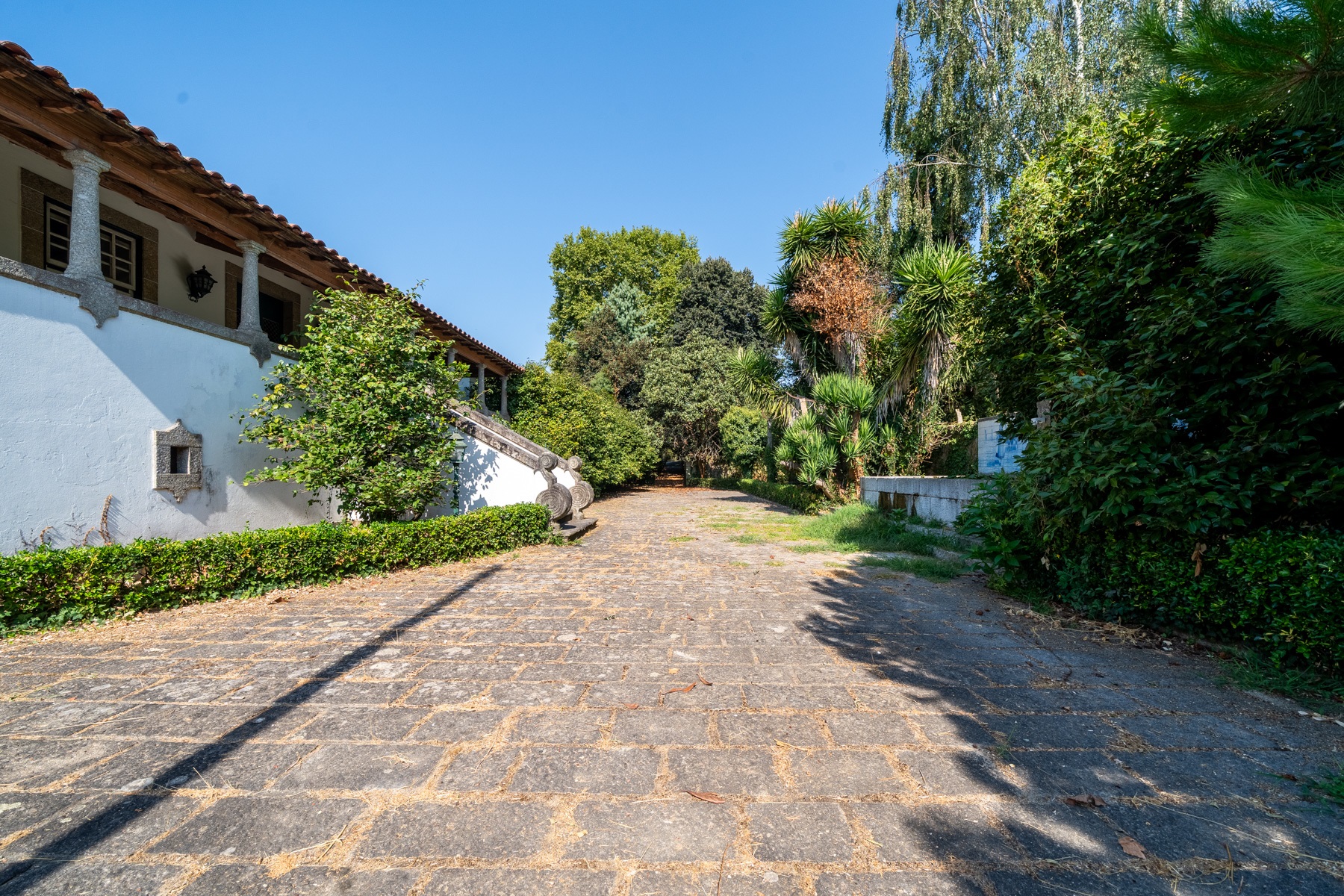  Farm, 10 bedrooms, for Sale - 物件實景