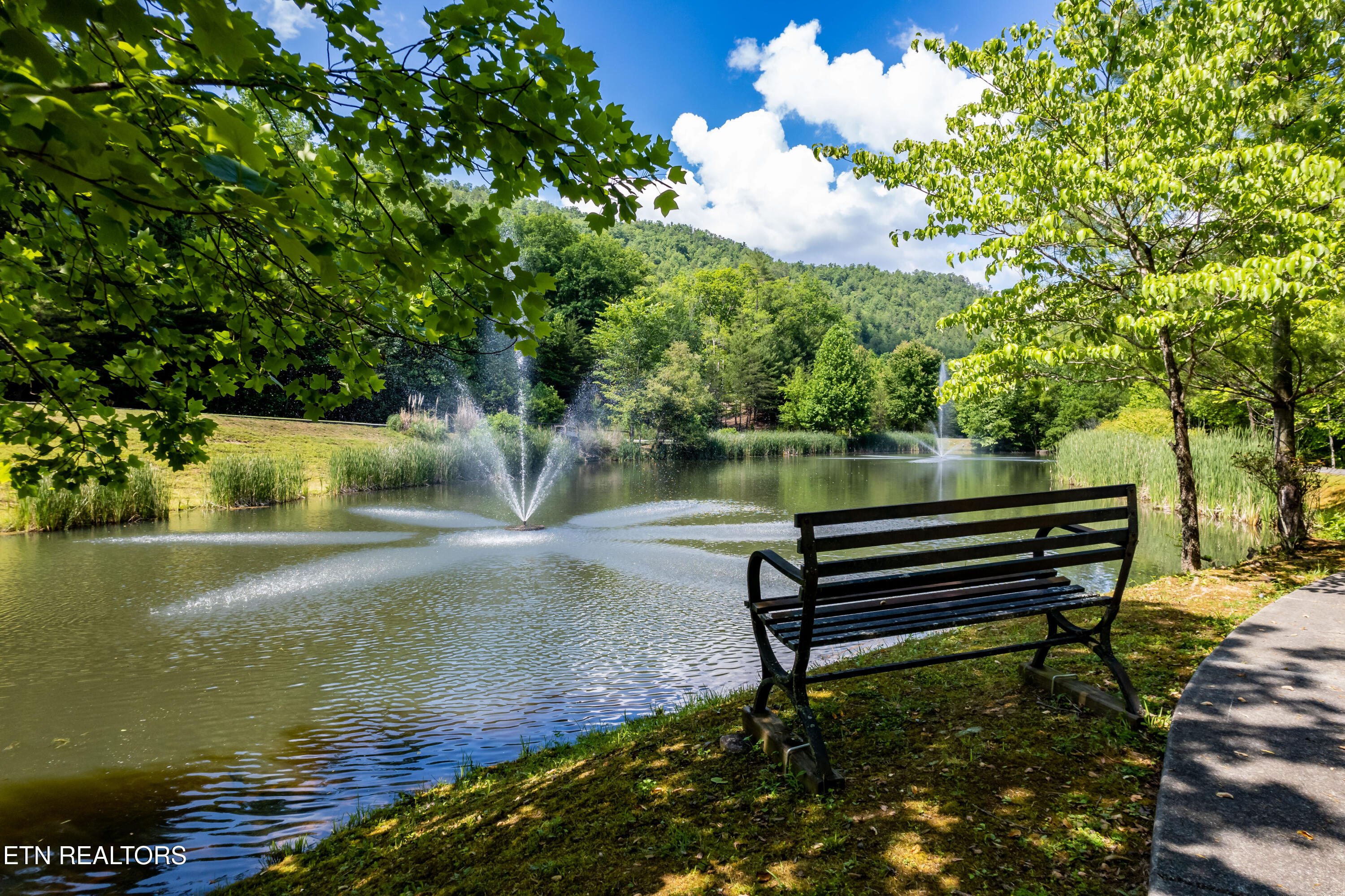 Townsend, Tennessee, 37882, United States, ,Land,For Sale,1982643