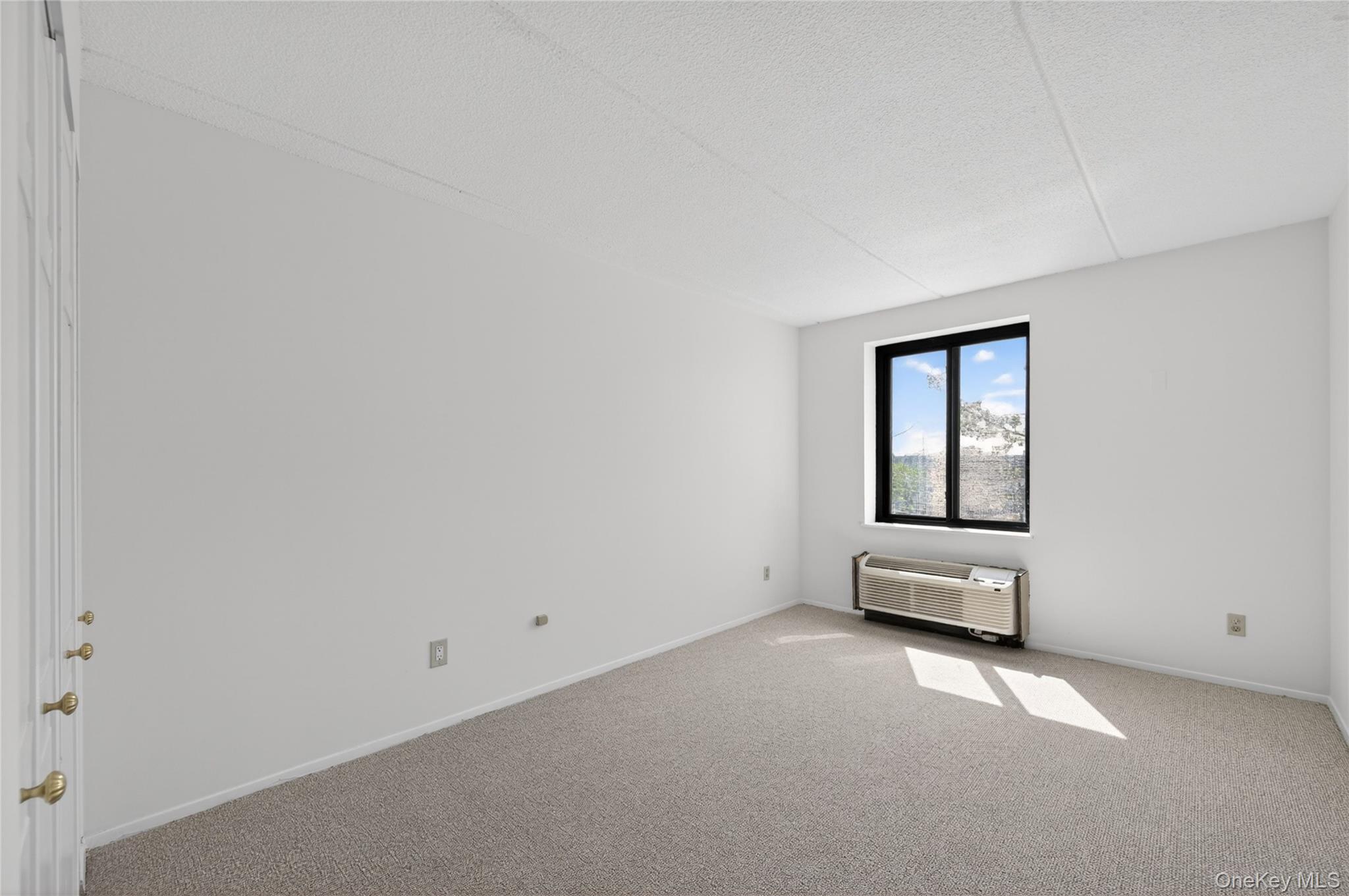  175 Maple Avenue, Westbury, NY, 11590 - 物件實景