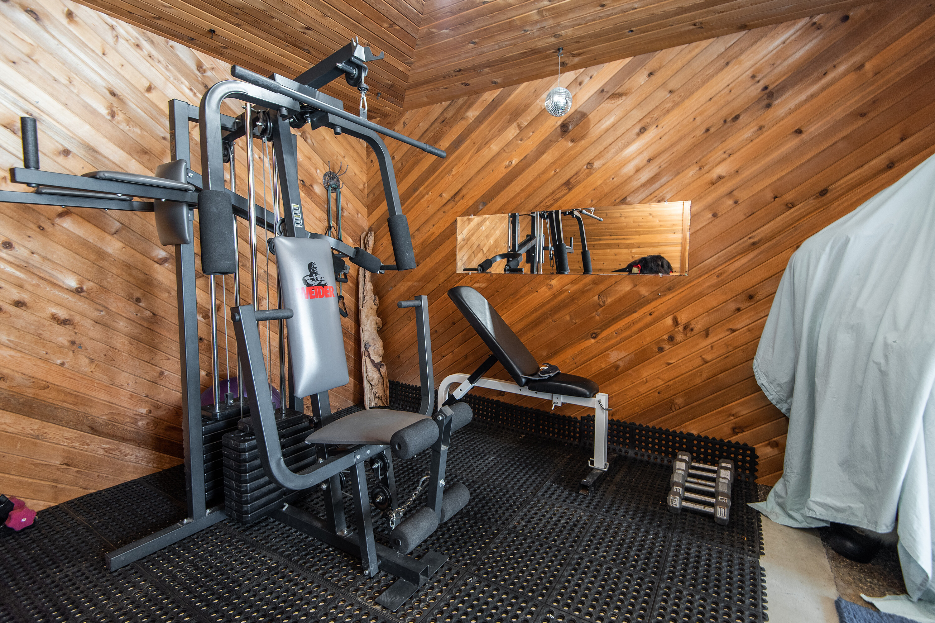  Rural Lacombe County, North - 物件實景