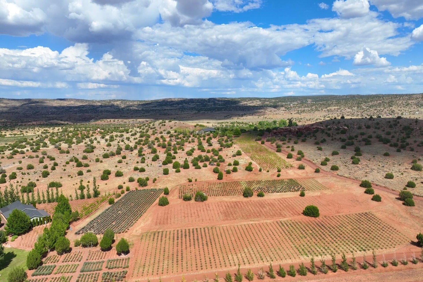  14 County Road 5309, Concho, AZ 85924 - 物件實景