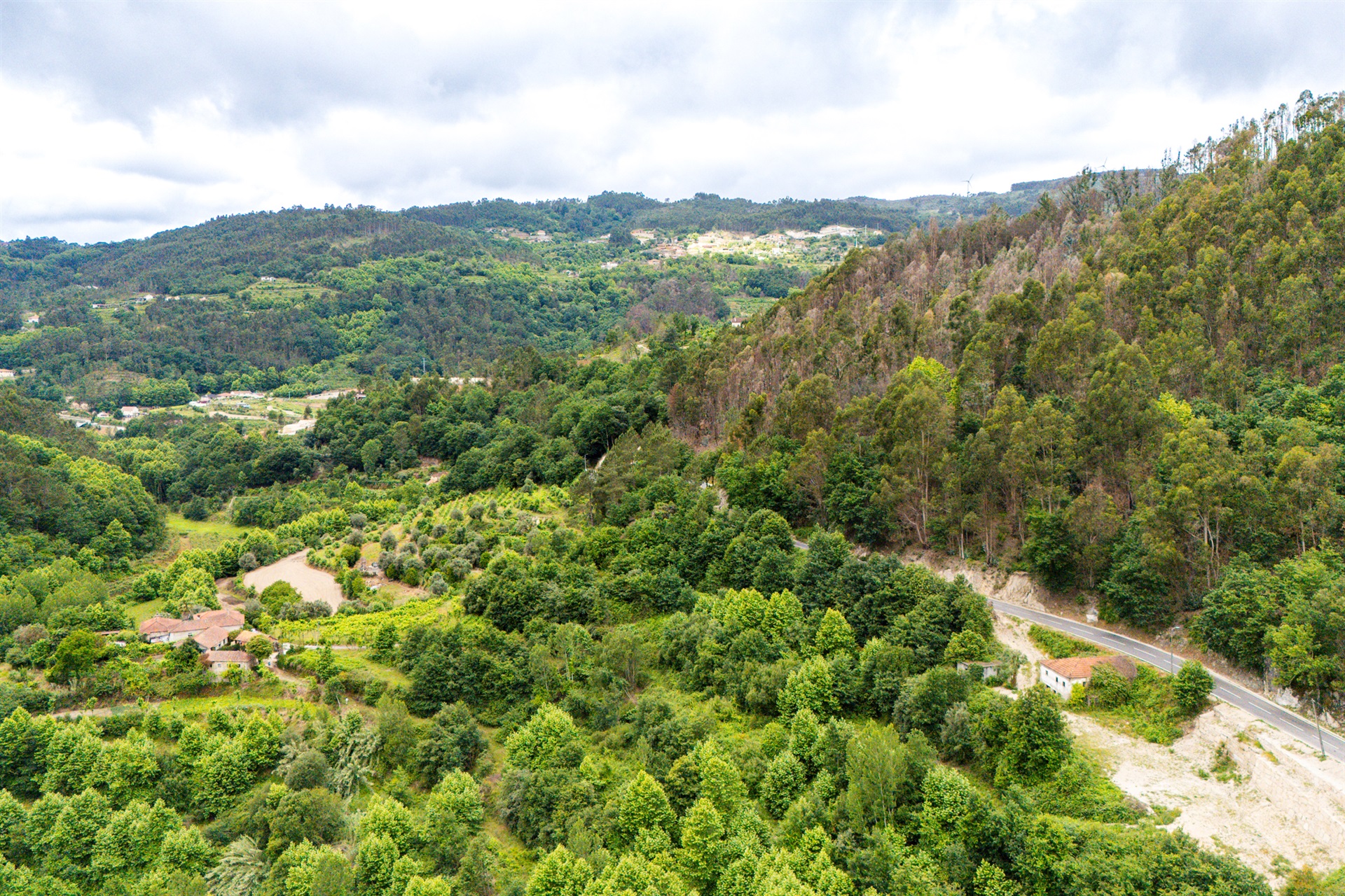  Farm, 3 bedrooms, for Sale - 物件實景