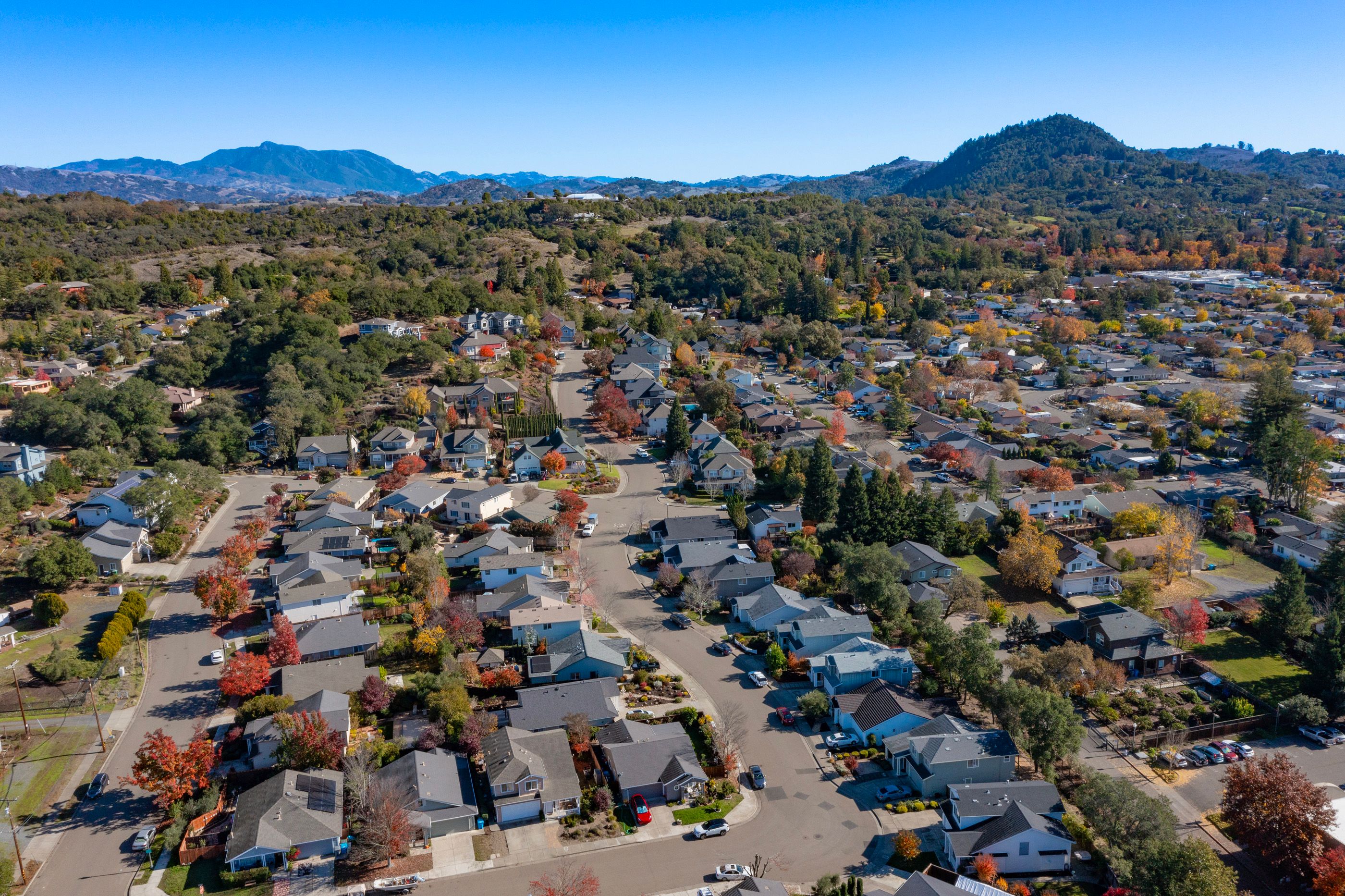  Single Level Healdsburg Gem - 物件實景