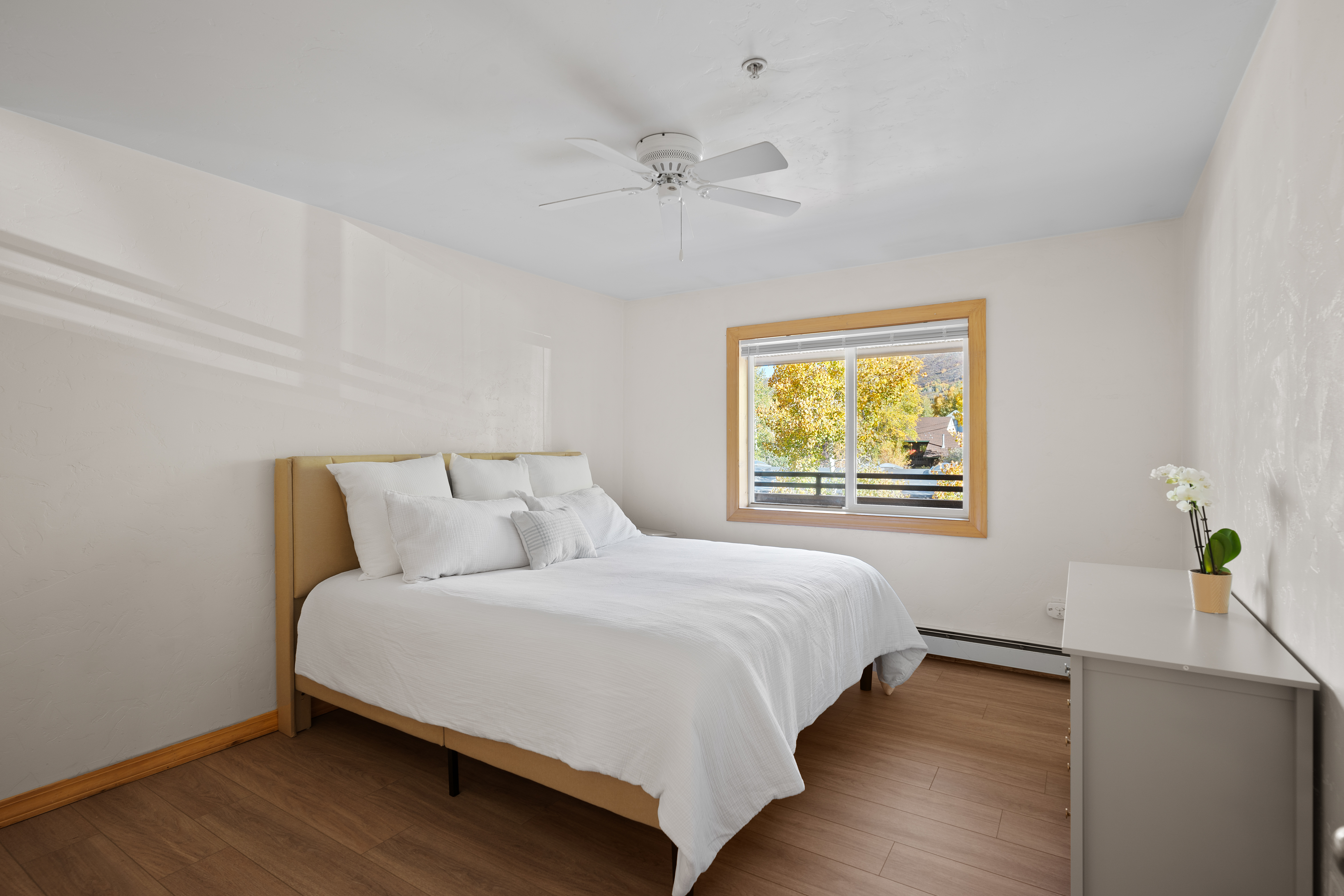  326 Midland Avenue 306, Aspen, CO, 81611 - 物件實景