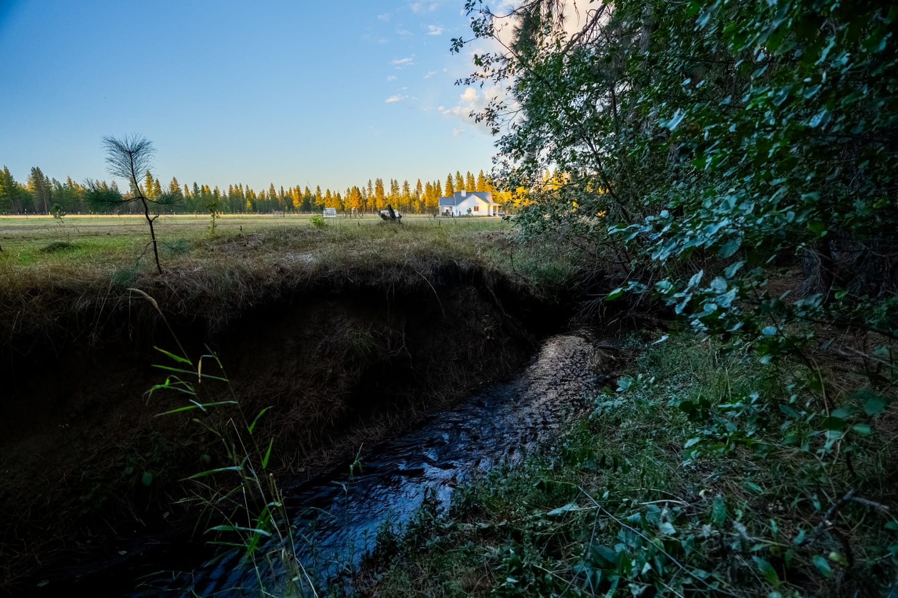  24 BACON CREEK RD Glenwood, WA 98619 - 物件實景